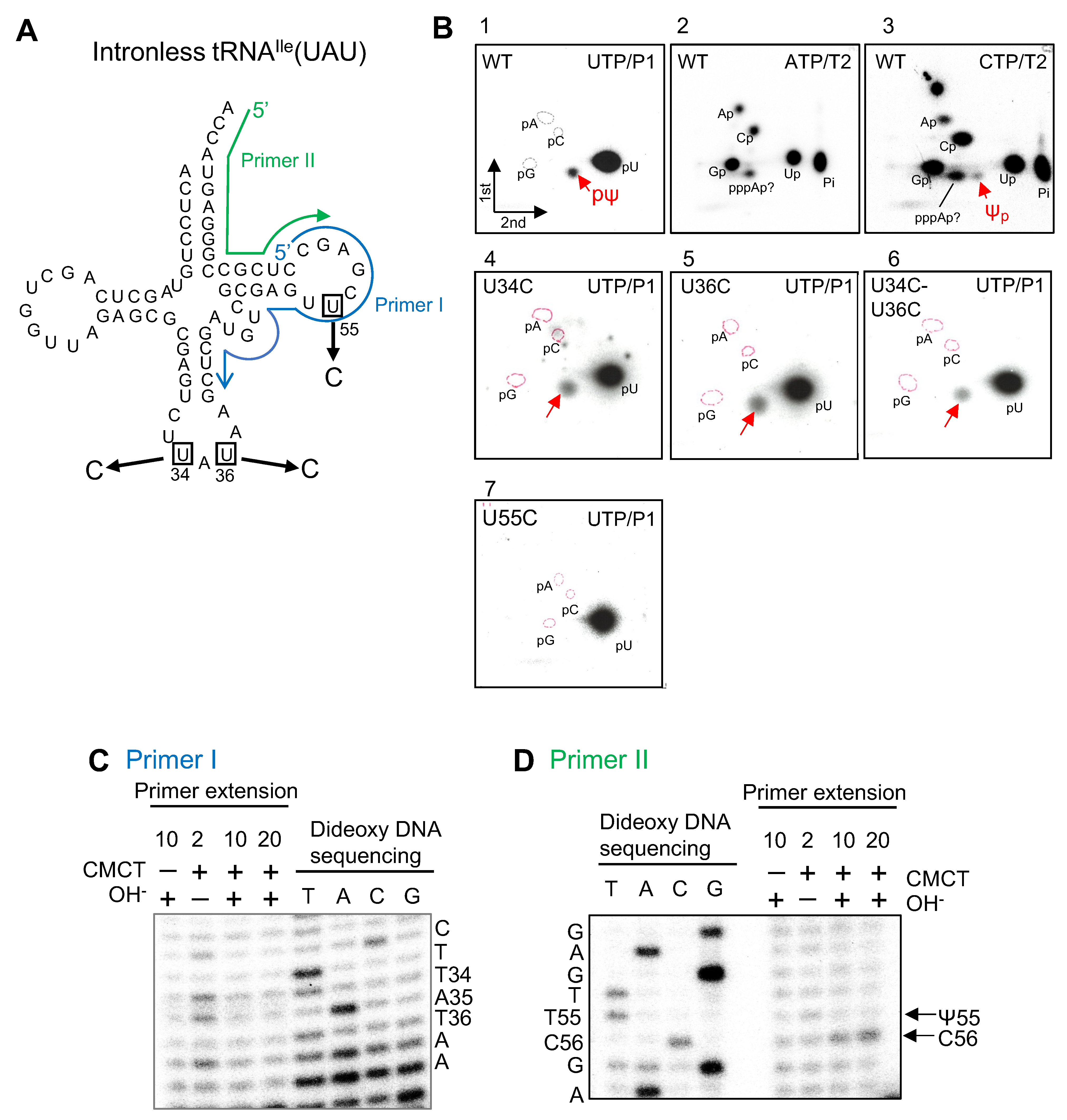 Ijms 23 12058 g002 Ijms 23 12058 g002