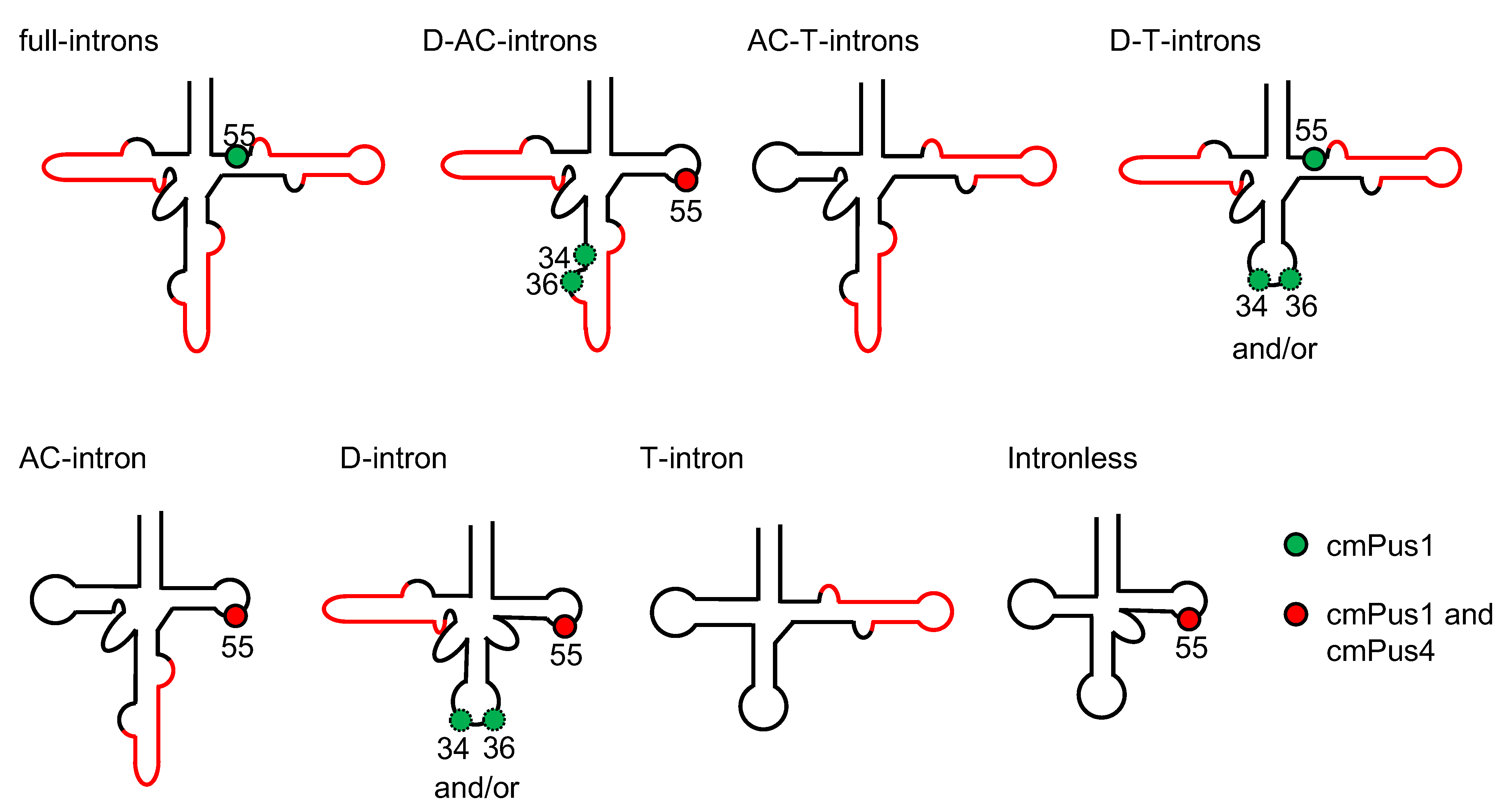 Ijms 23 12058 g009 Ijms 23 12058 g009