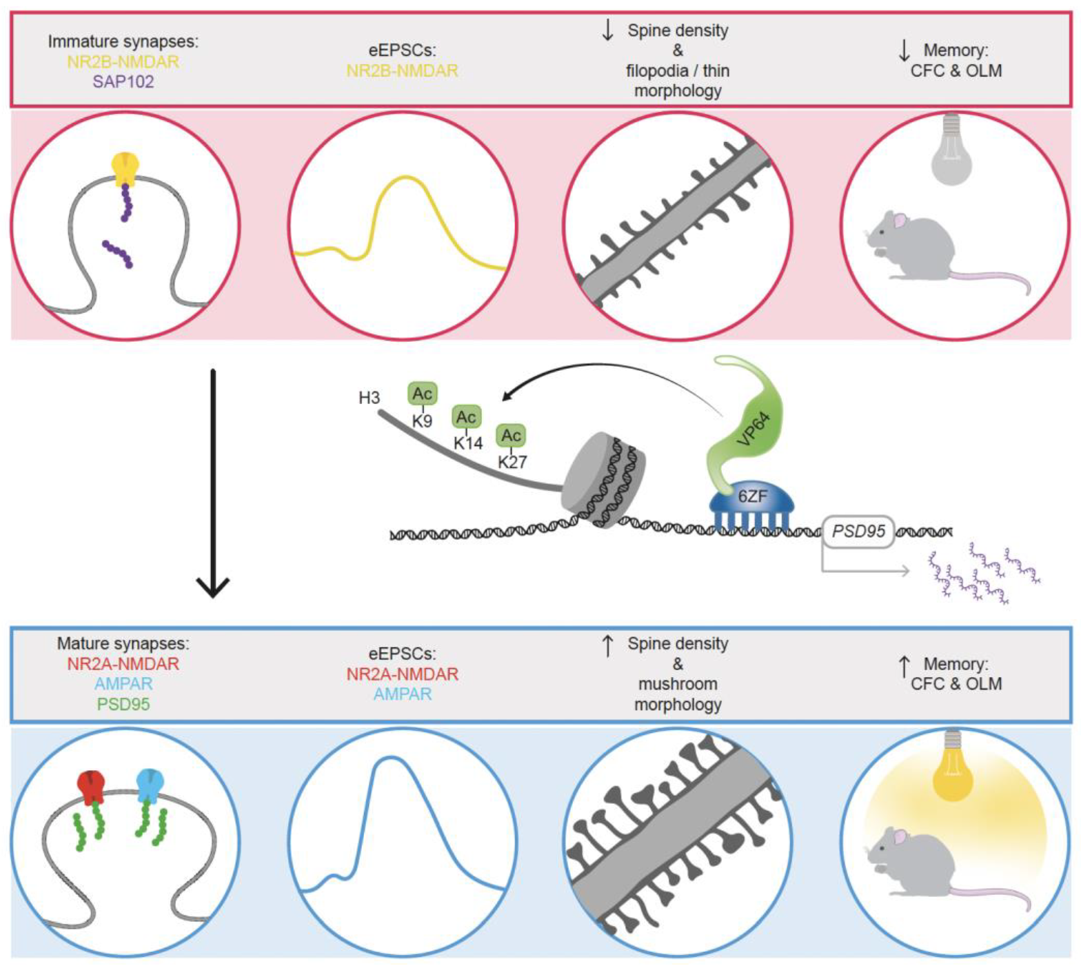 Ijms 23 12081 sch001