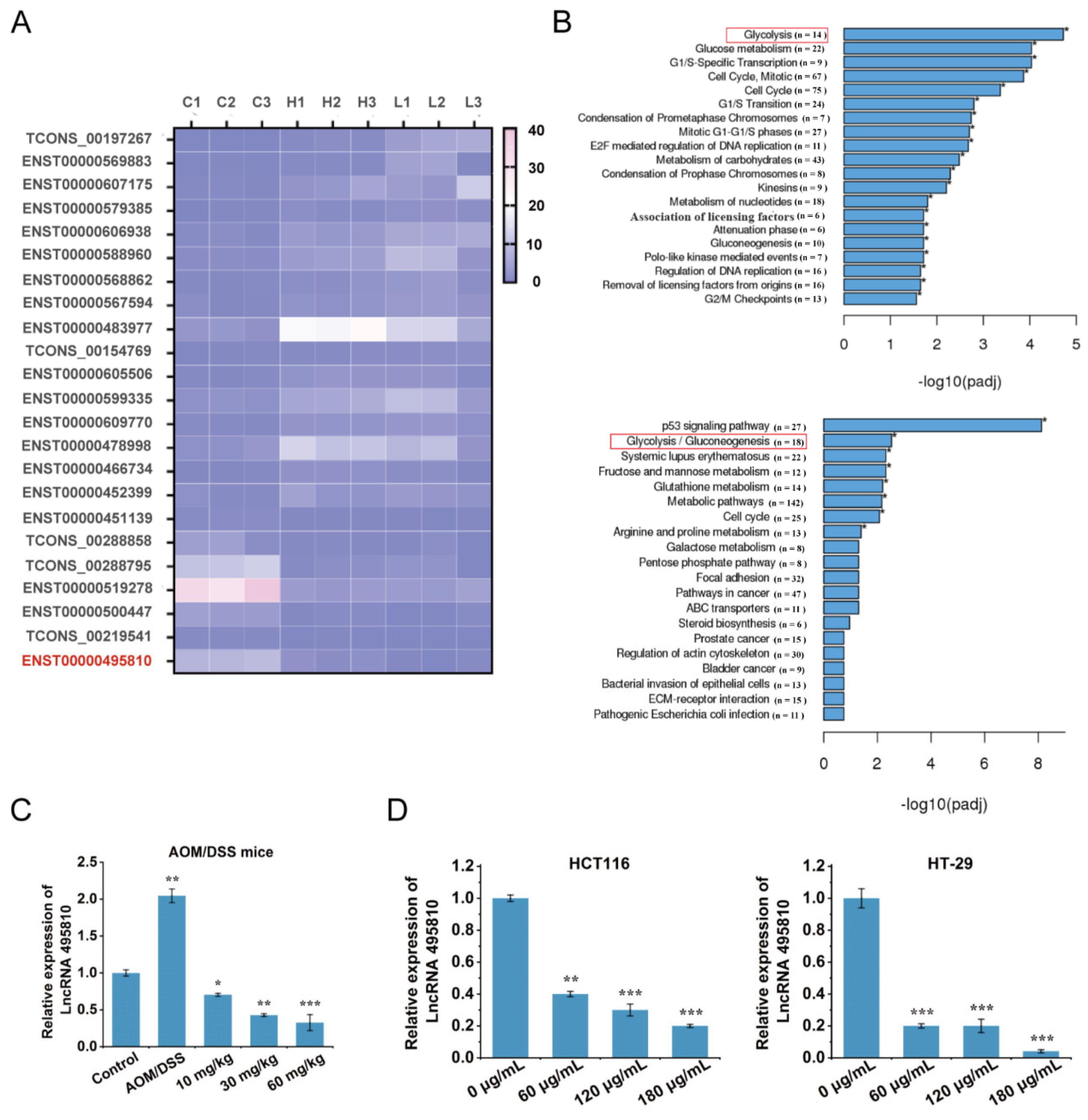 Ijms 23 12106 g003 Ijms 23 12106 g003