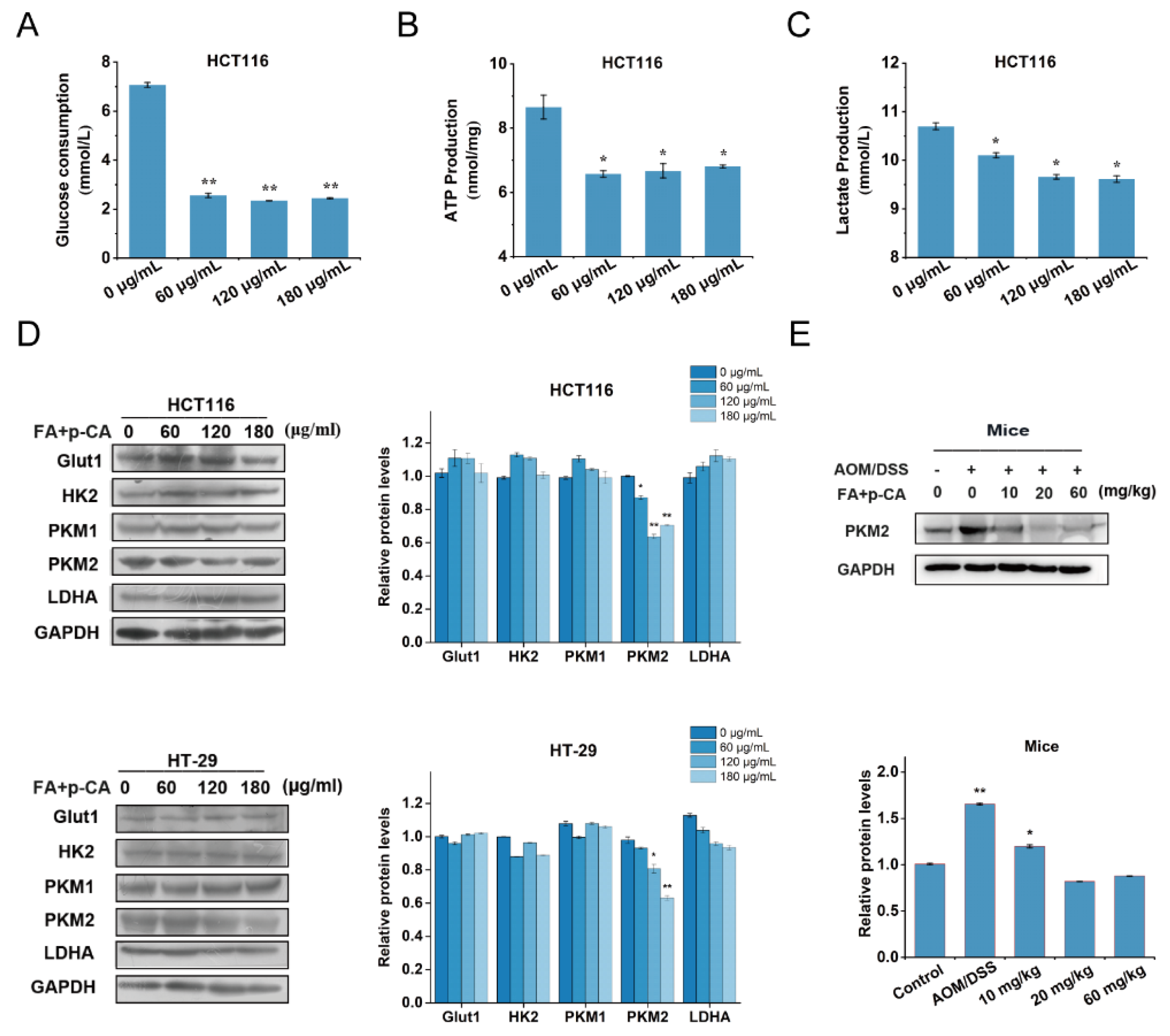 Ijms 23 12106 g004 Ijms 23 12106 g004