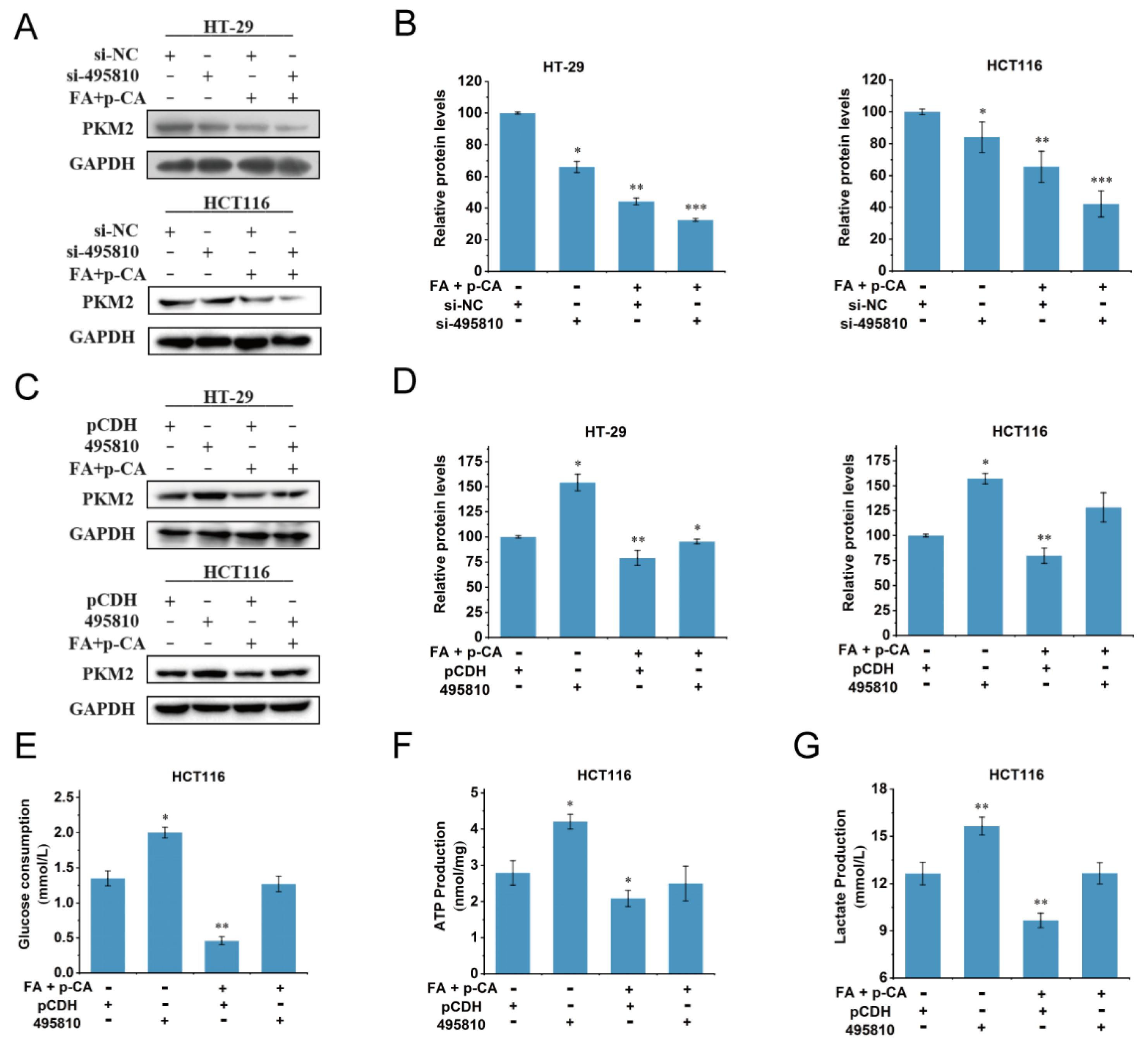 Ijms 23 12106 g005 Ijms 23 12106 g005