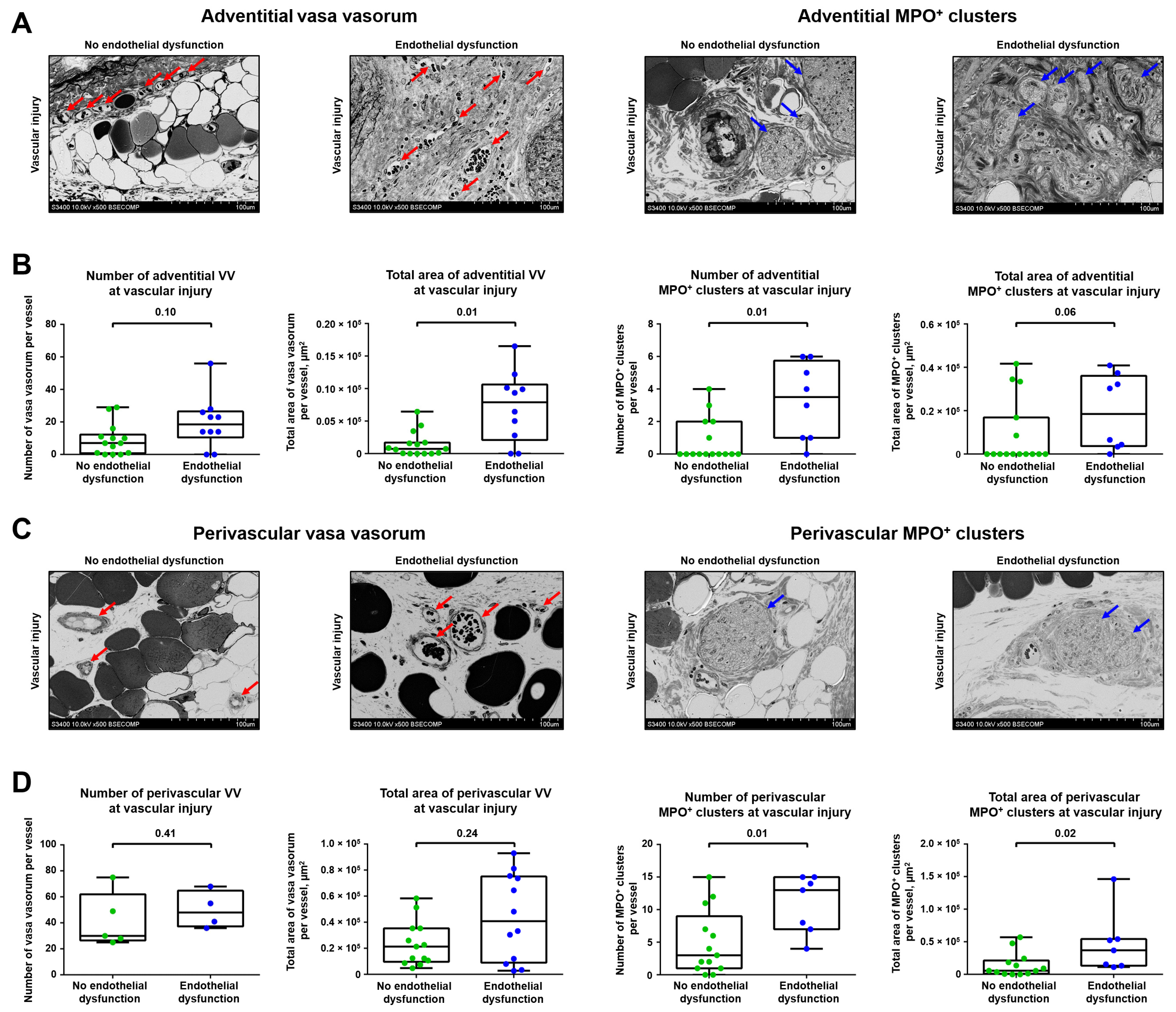Ijms 23 12156 g005 Ijms 23 12156 g005