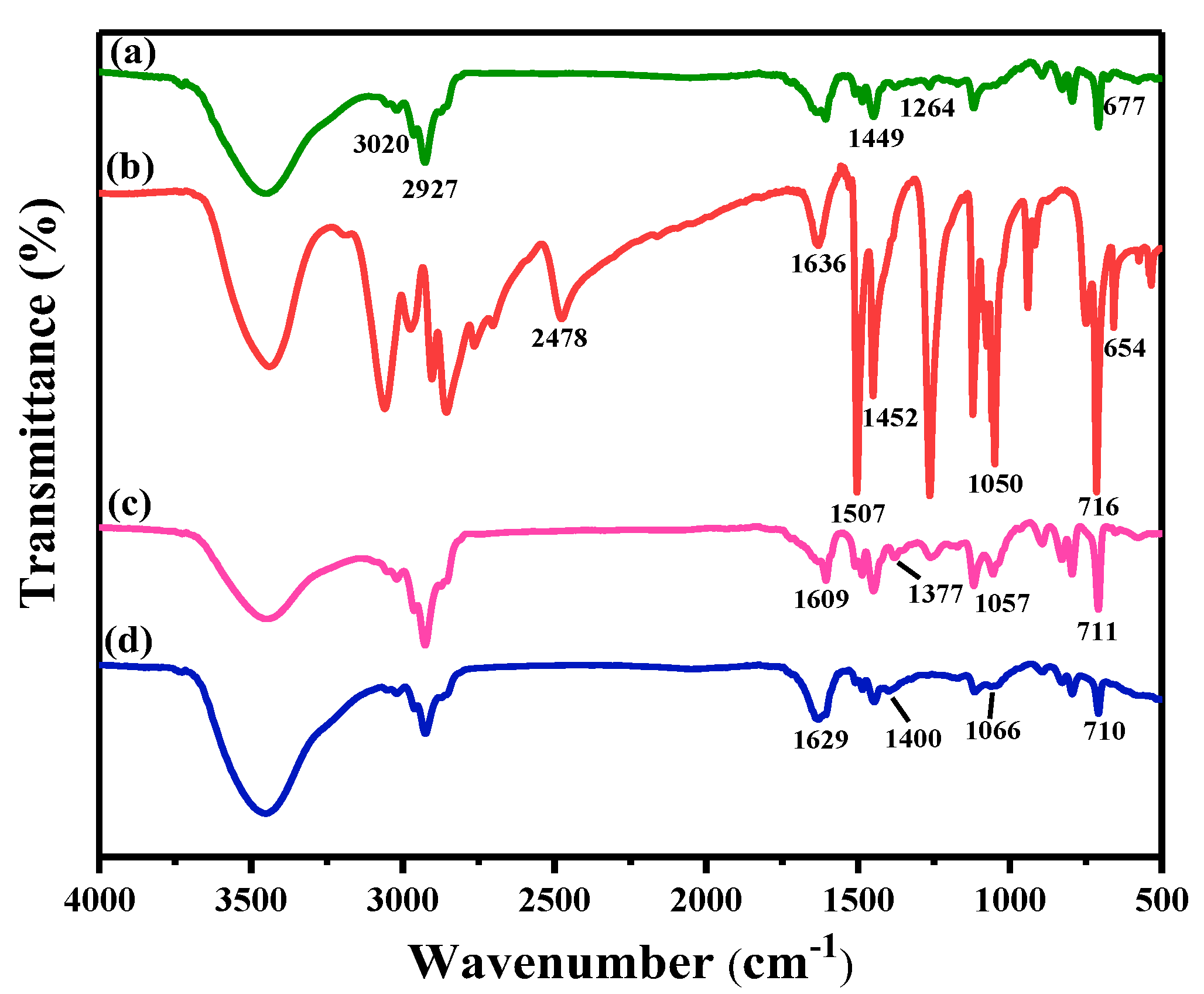 Ijms 23 12158 g001 Ijms 23 12158 g001