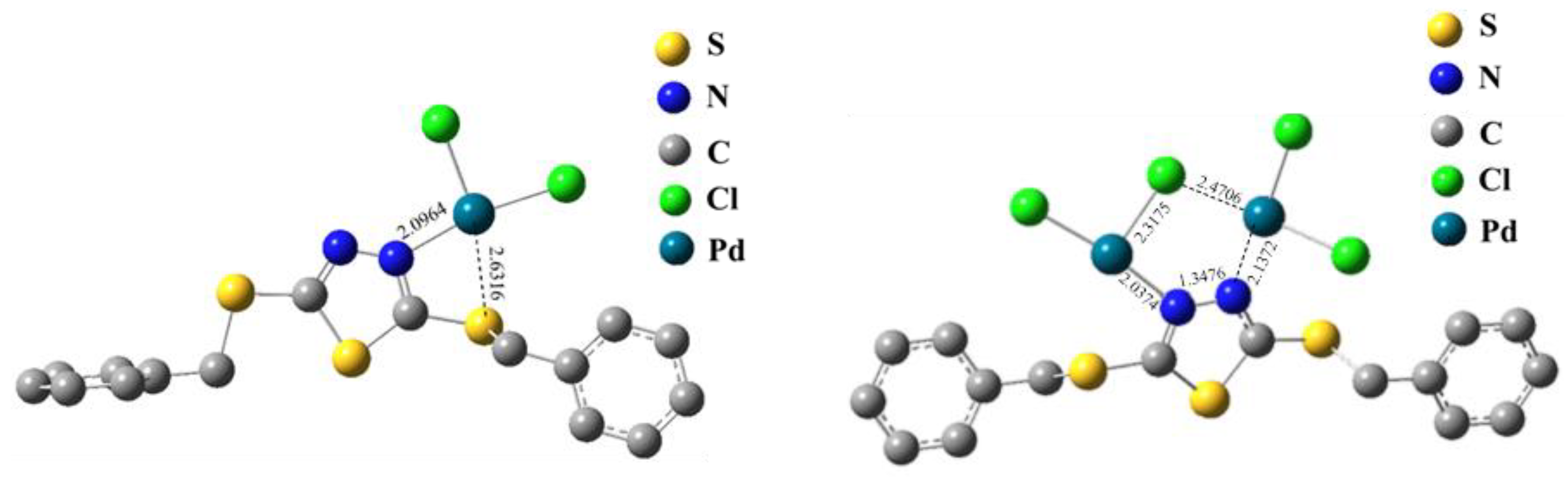 Ijms 23 12158 g010 Ijms 23 12158 g010