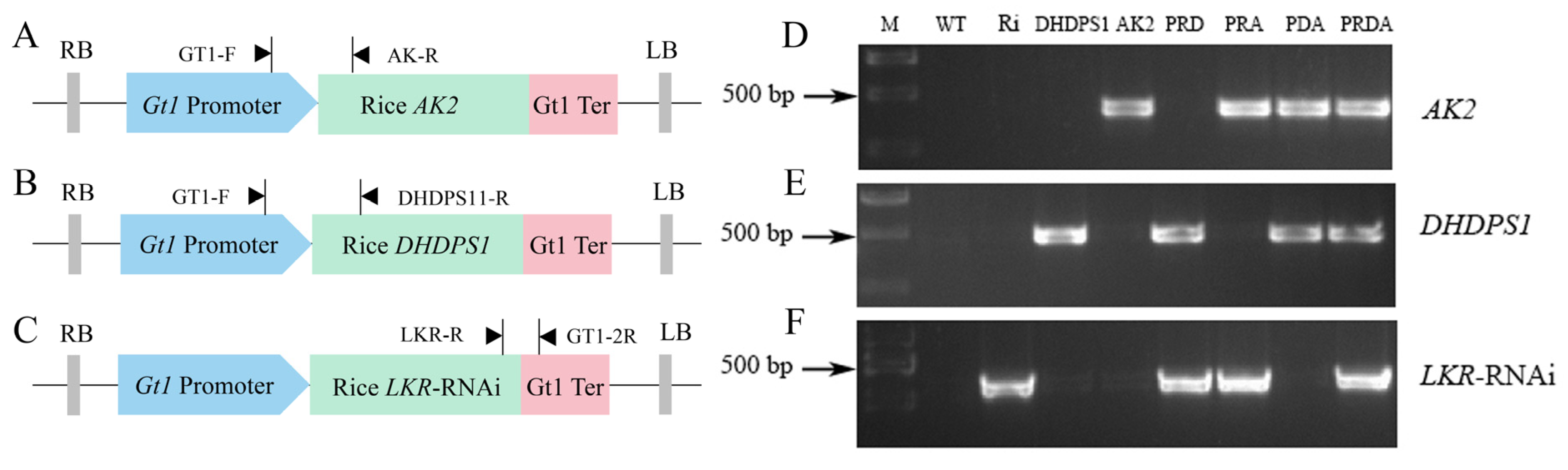 Ijms 23 12166 g001 Ijms 23 12166 g001