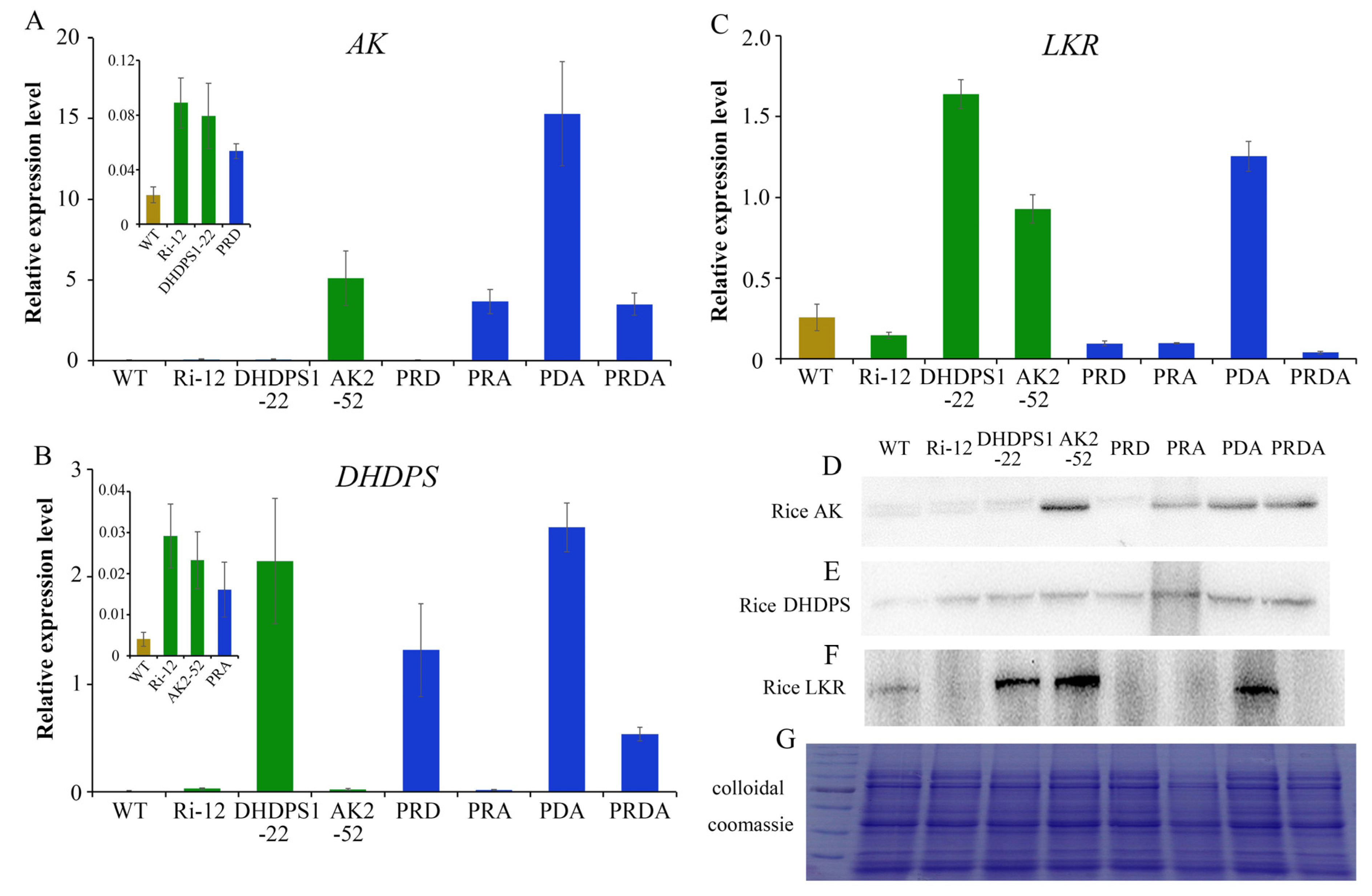 Ijms 23 12166 g002 Ijms 23 12166 g002