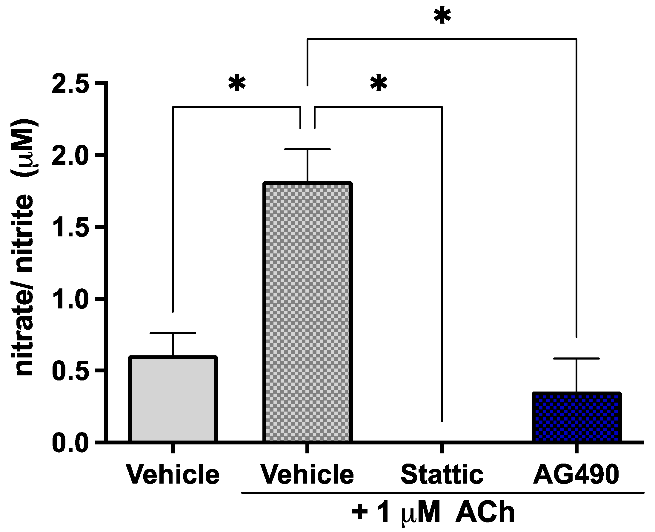 Ijms 23 12167 g003 Ijms 23 12167 g003