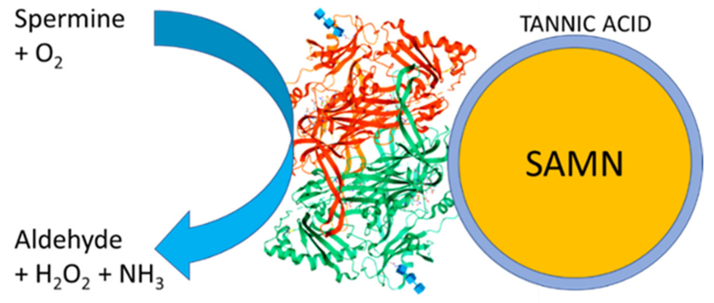 Ijms 23 12172 g001 Ijms 23 12172 g001