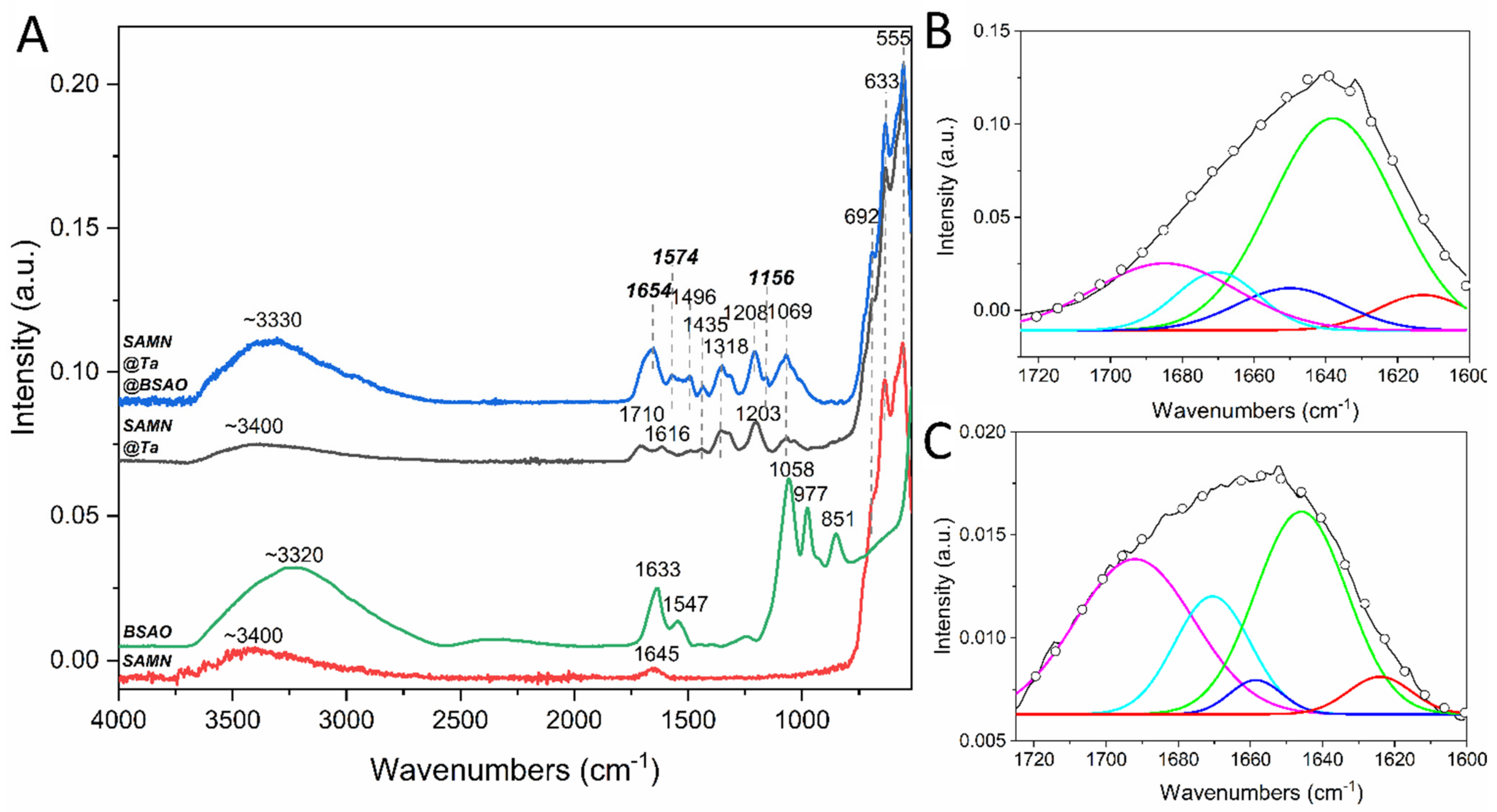 Ijms 23 12172 g004 Ijms 23 12172 g004