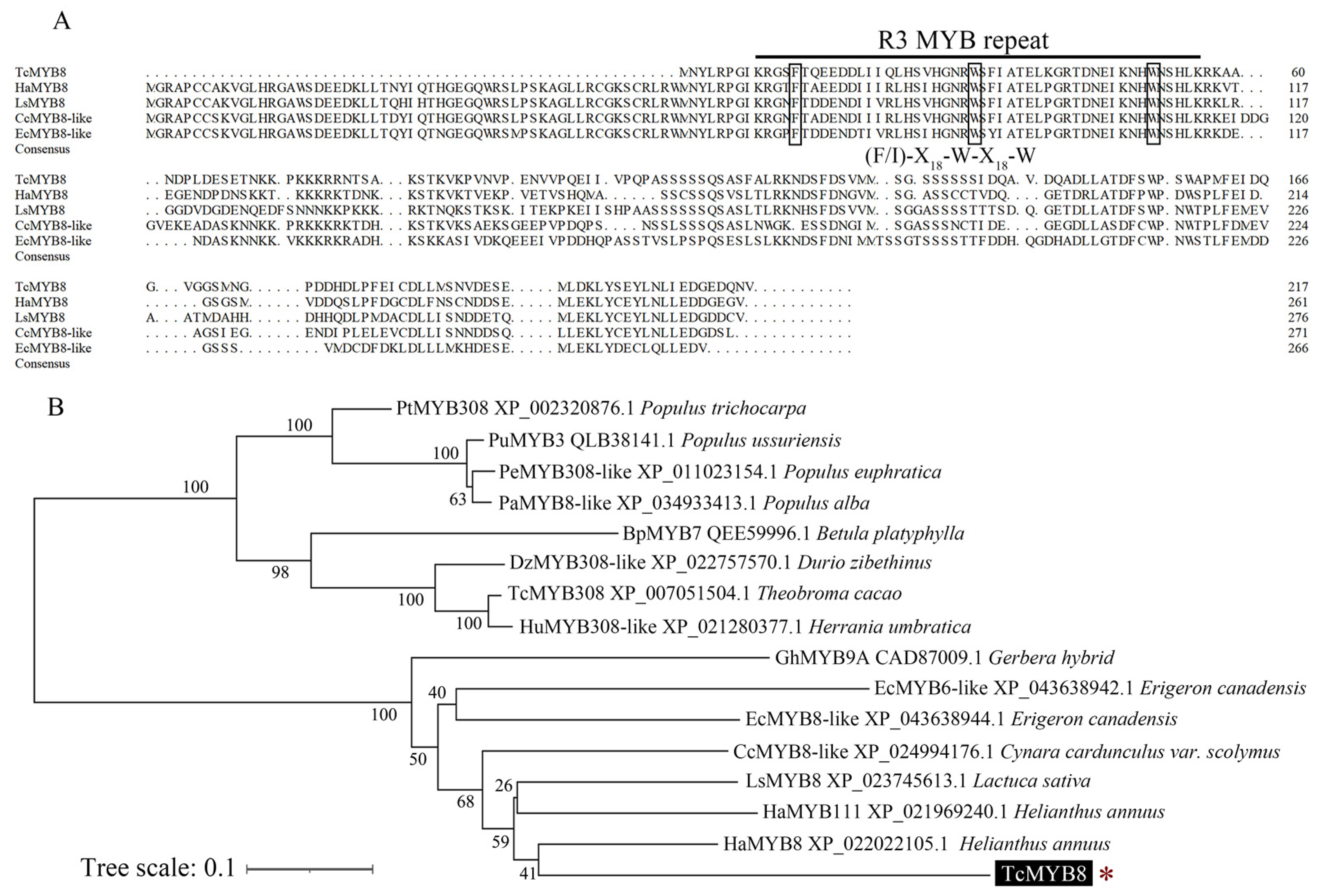 Ijms 23 12186 g001 Ijms 23 12186 g001