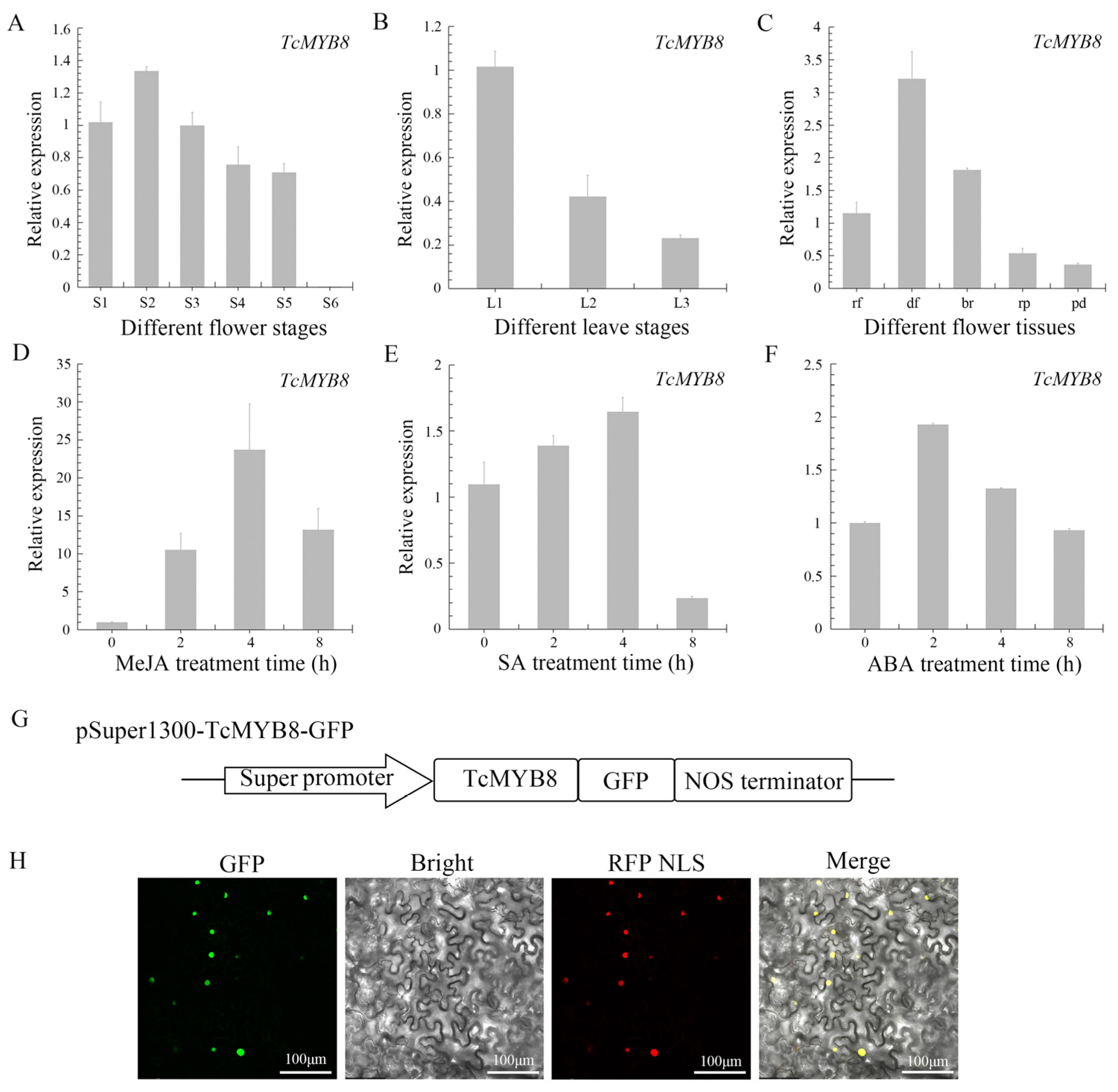 Ijms 23 12186 g002 Ijms 23 12186 g002