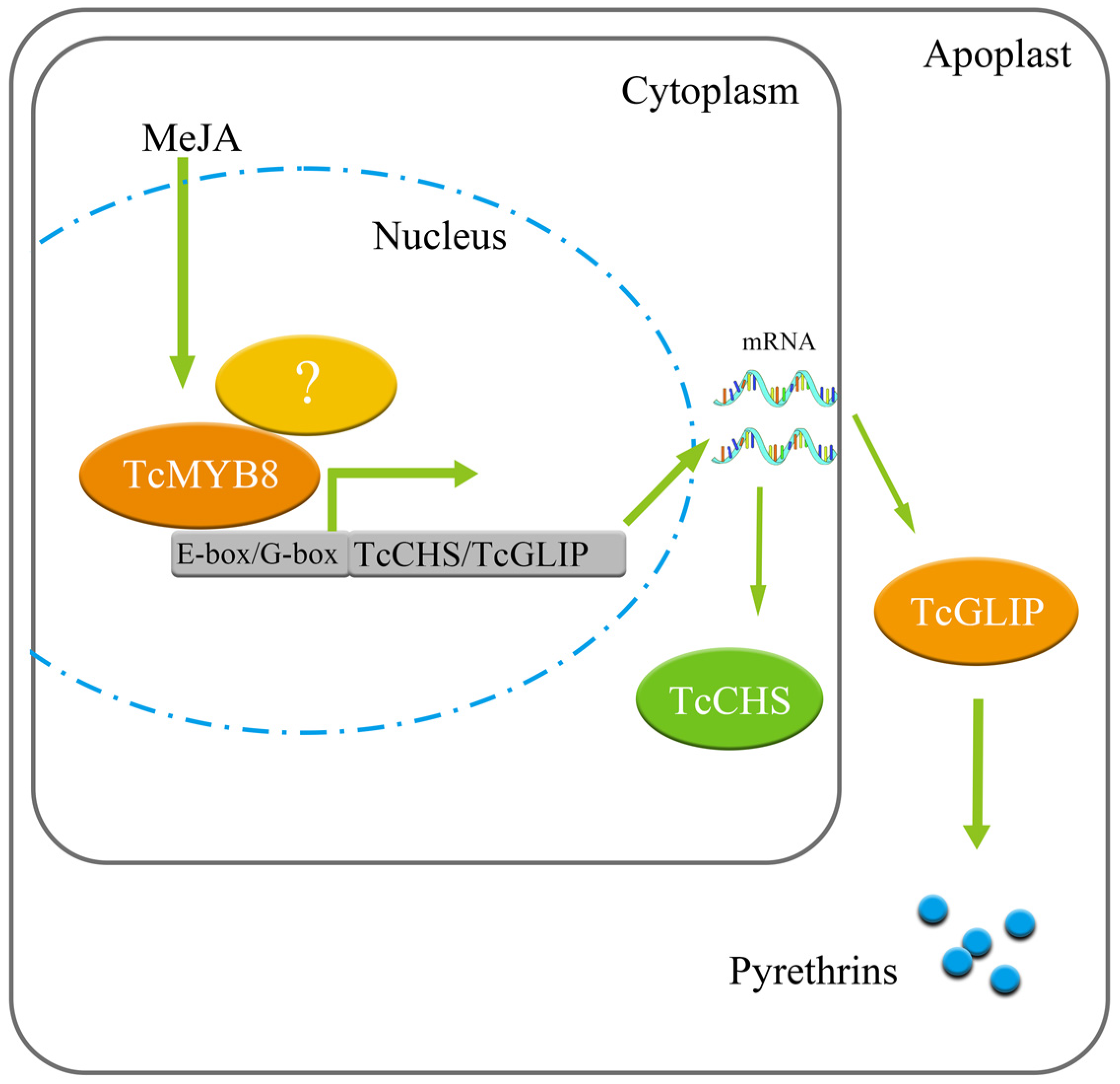 Ijms 23 12186 g005 Ijms 23 12186 g005