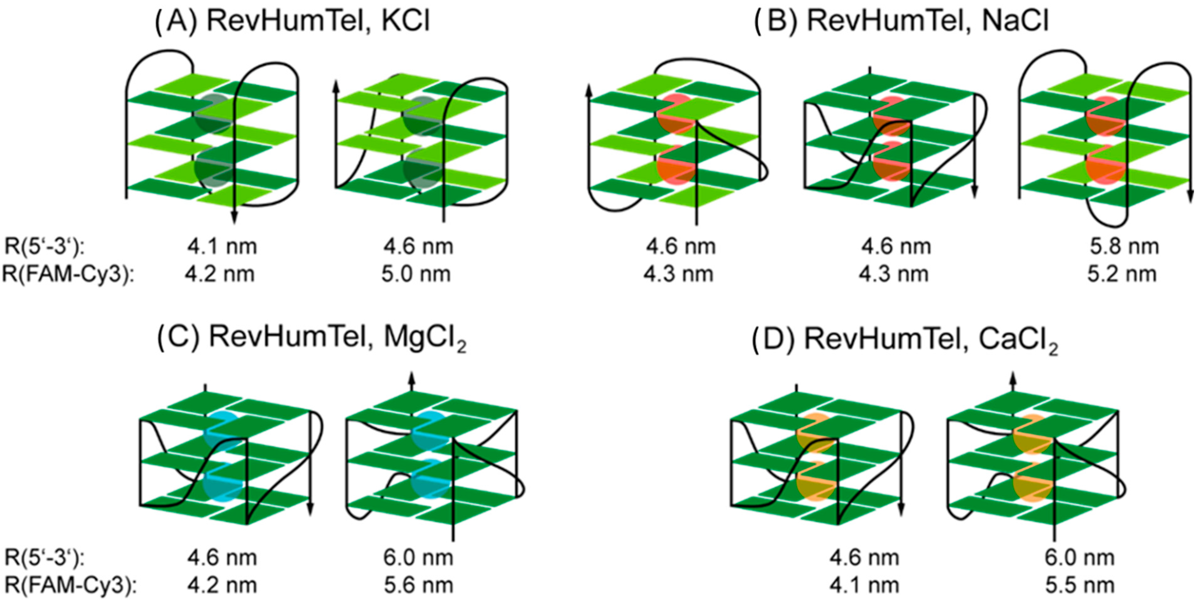 Ijms 23 12206 g003 Ijms 23 12206 g003