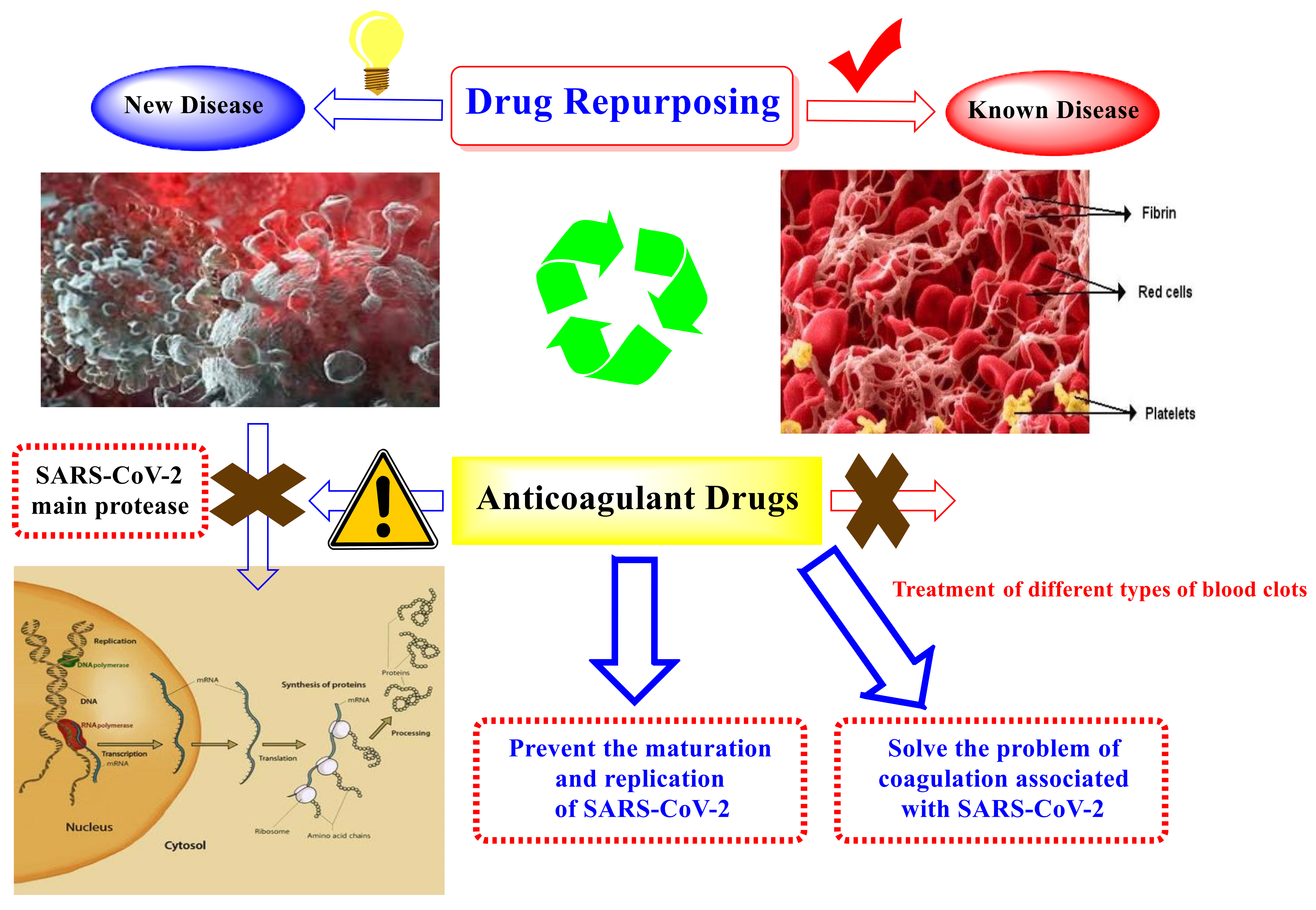 Ijms 23 12235 g002 Ijms 23 12235 g002