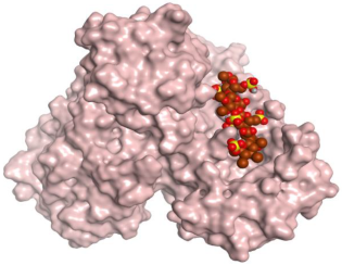 Ijms 23 12235 i002 Ijms 23 12235 i002