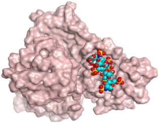 Ijms 23 12235 i004 Ijms 23 12235 i004