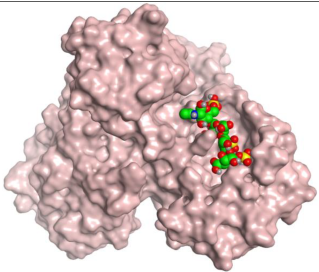 Ijms 23 12235 i008 Ijms 23 12235 i008