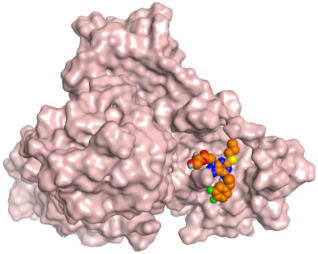 Ijms 23 12235 i010 Ijms 23 12235 i010