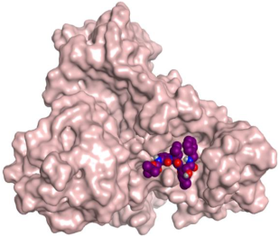 Ijms 23 12235 i012 Ijms 23 12235 i012