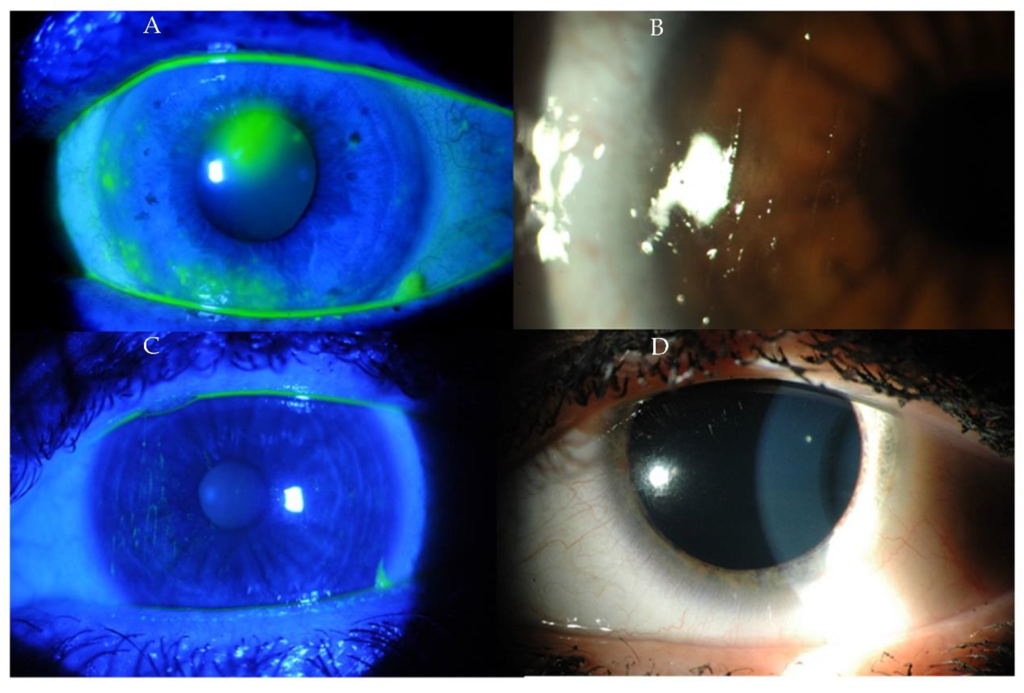 Ijms 23 12264 g002 Ijms 23 12264 g002