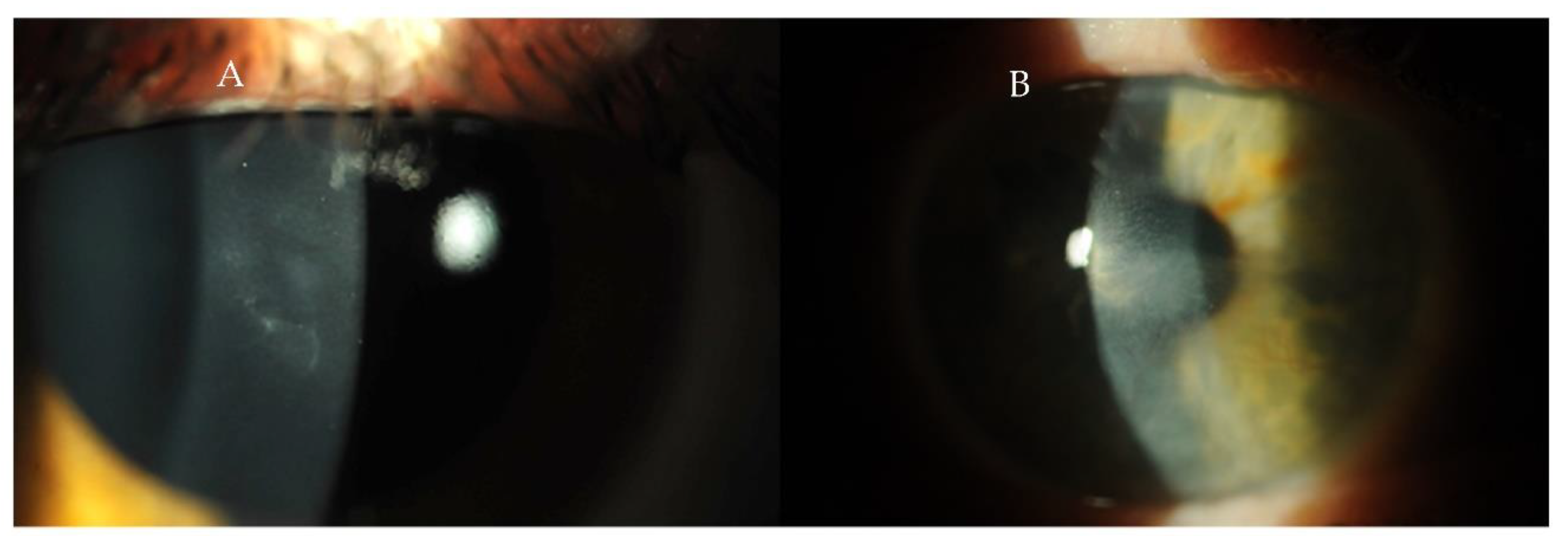 Ijms 23 12264 g003 Ijms 23 12264 g003