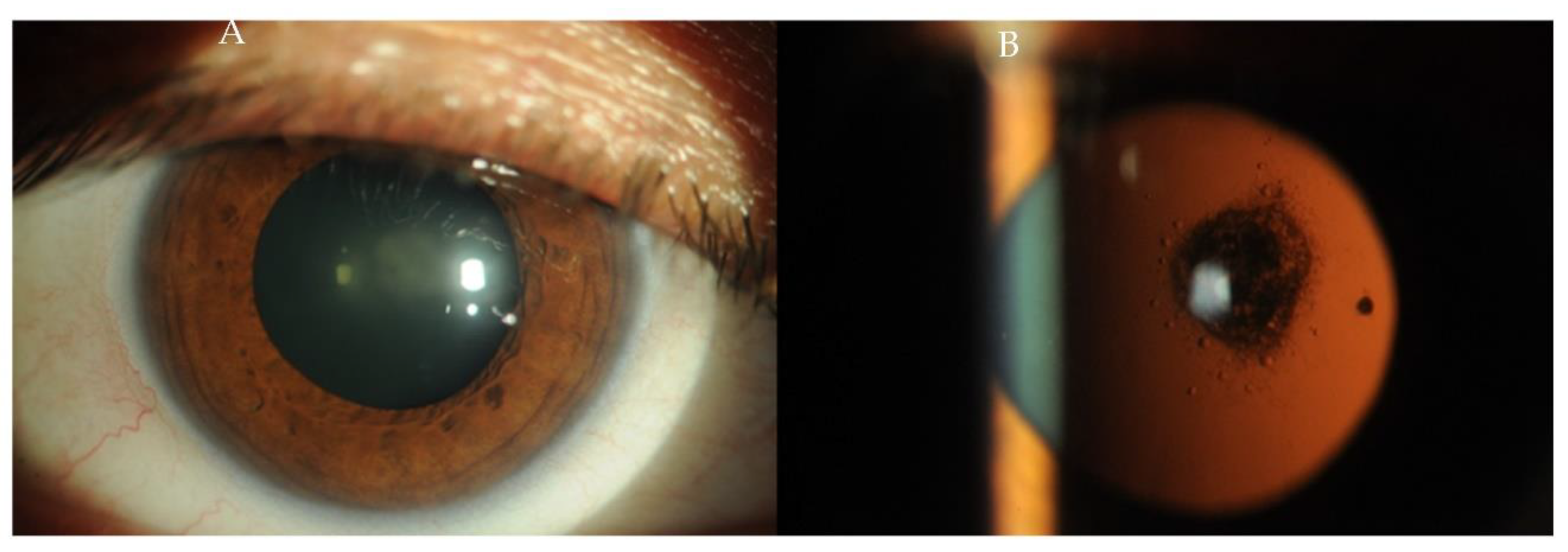 Ijms 23 12264 g004 Ijms 23 12264 g004