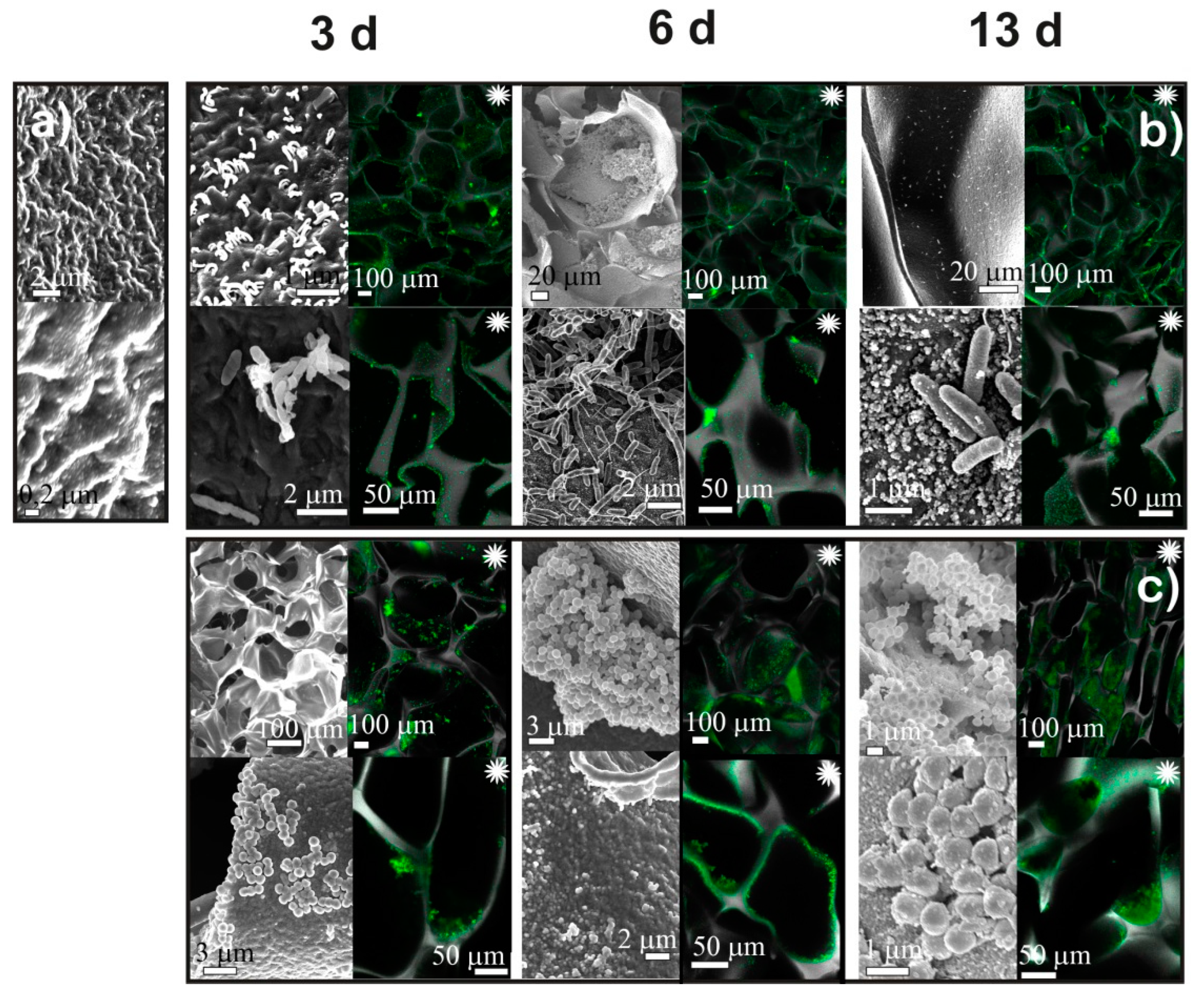 Ijms 23 12276 g003 Ijms 23 12276 g003