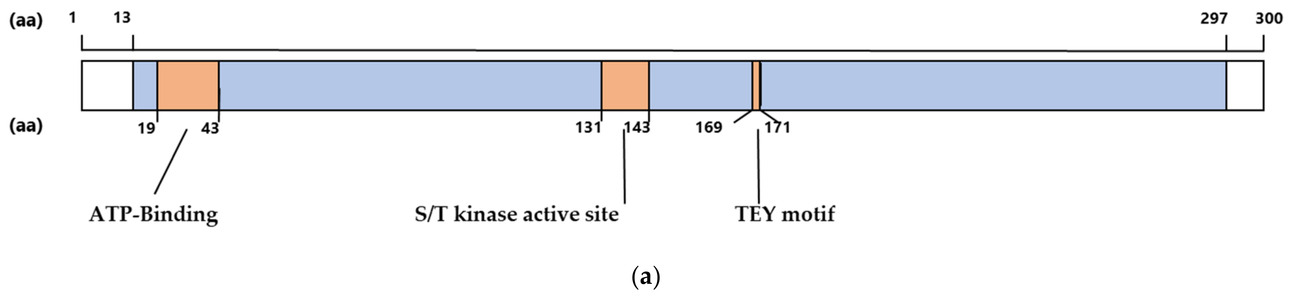 Ijms 23 12281 g001a Ijms 23 12281 g001a
