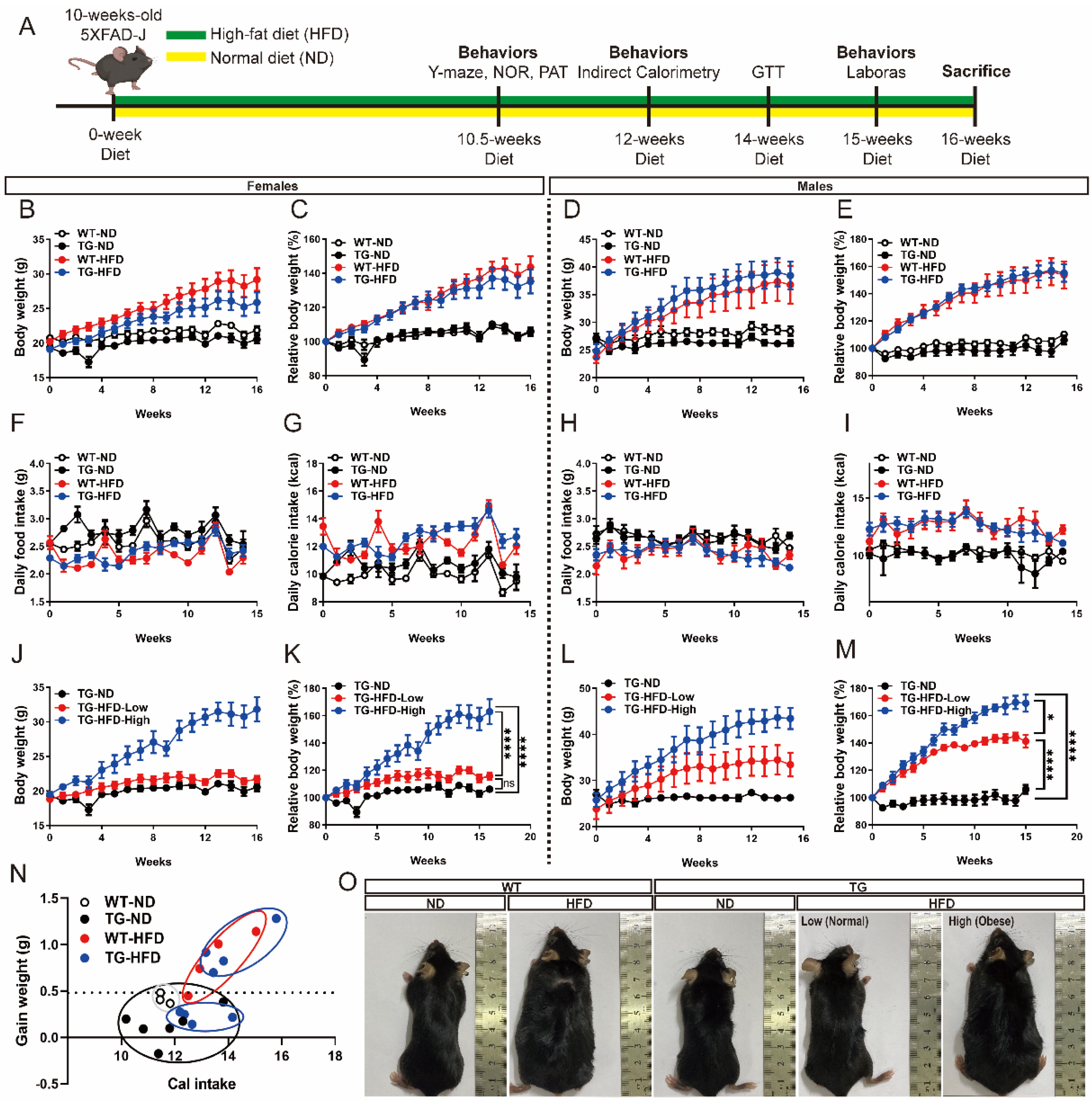 Ijms 23 12296 g001 Ijms 23 12296 g001