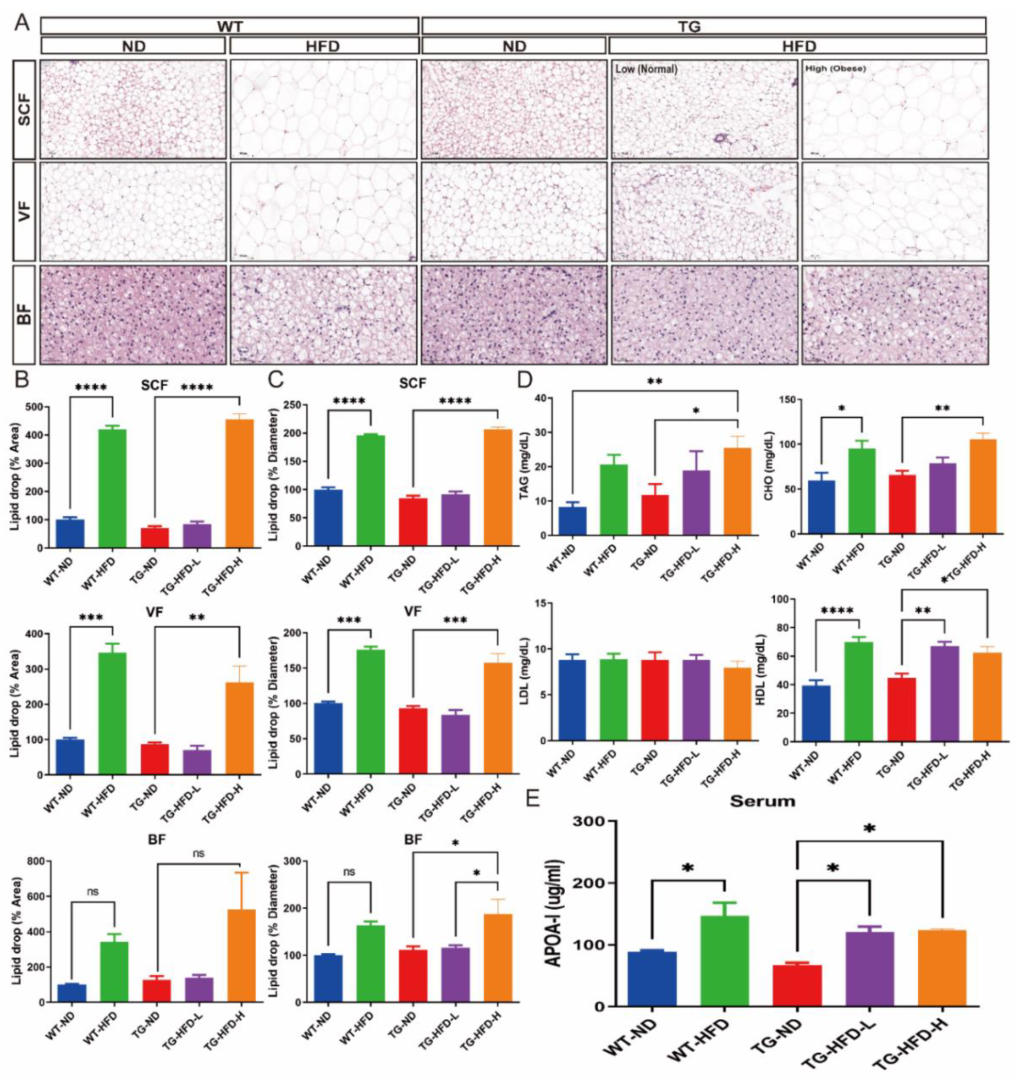 Ijms 23 12296 g003 Ijms 23 12296 g003