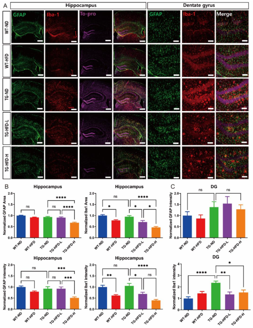 Ijms 23 12296 g004 Ijms 23 12296 g004
