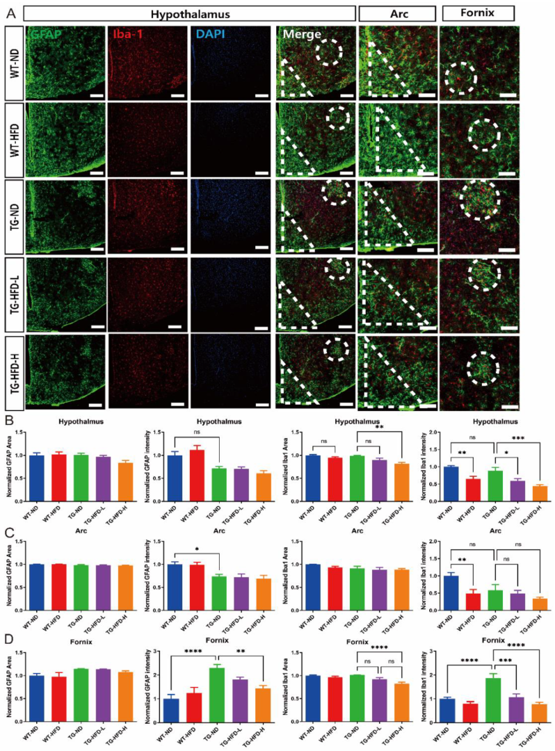 Ijms 23 12296 g005 Ijms 23 12296 g005