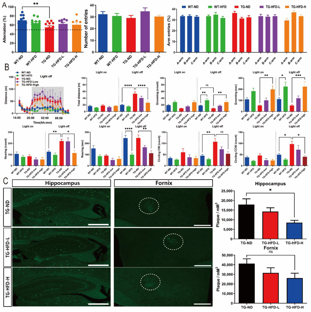 Ijms 23 12296 g006 Ijms 23 12296 g006