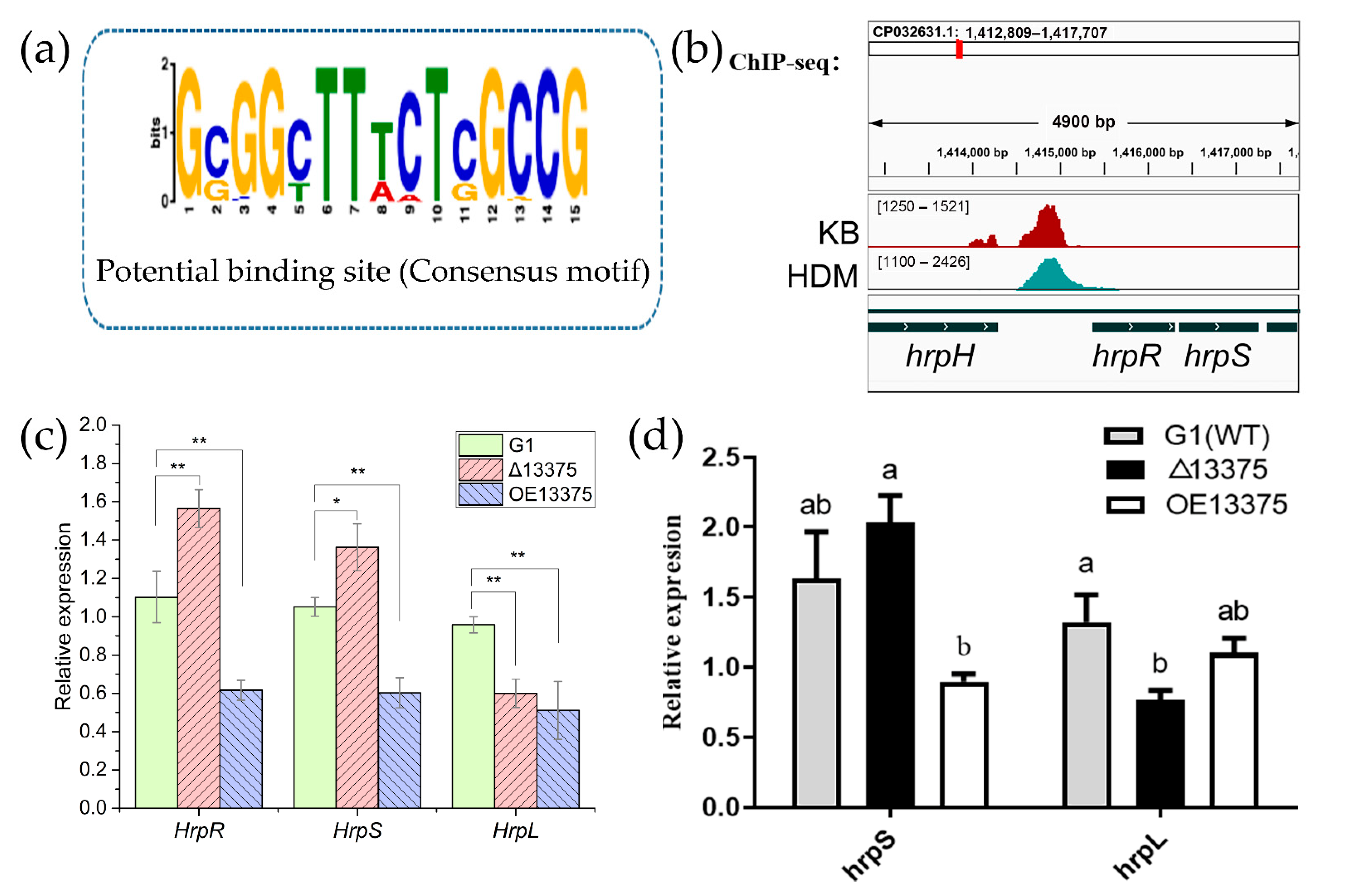 Ijms 23 12306 g003 Ijms 23 12306 g003