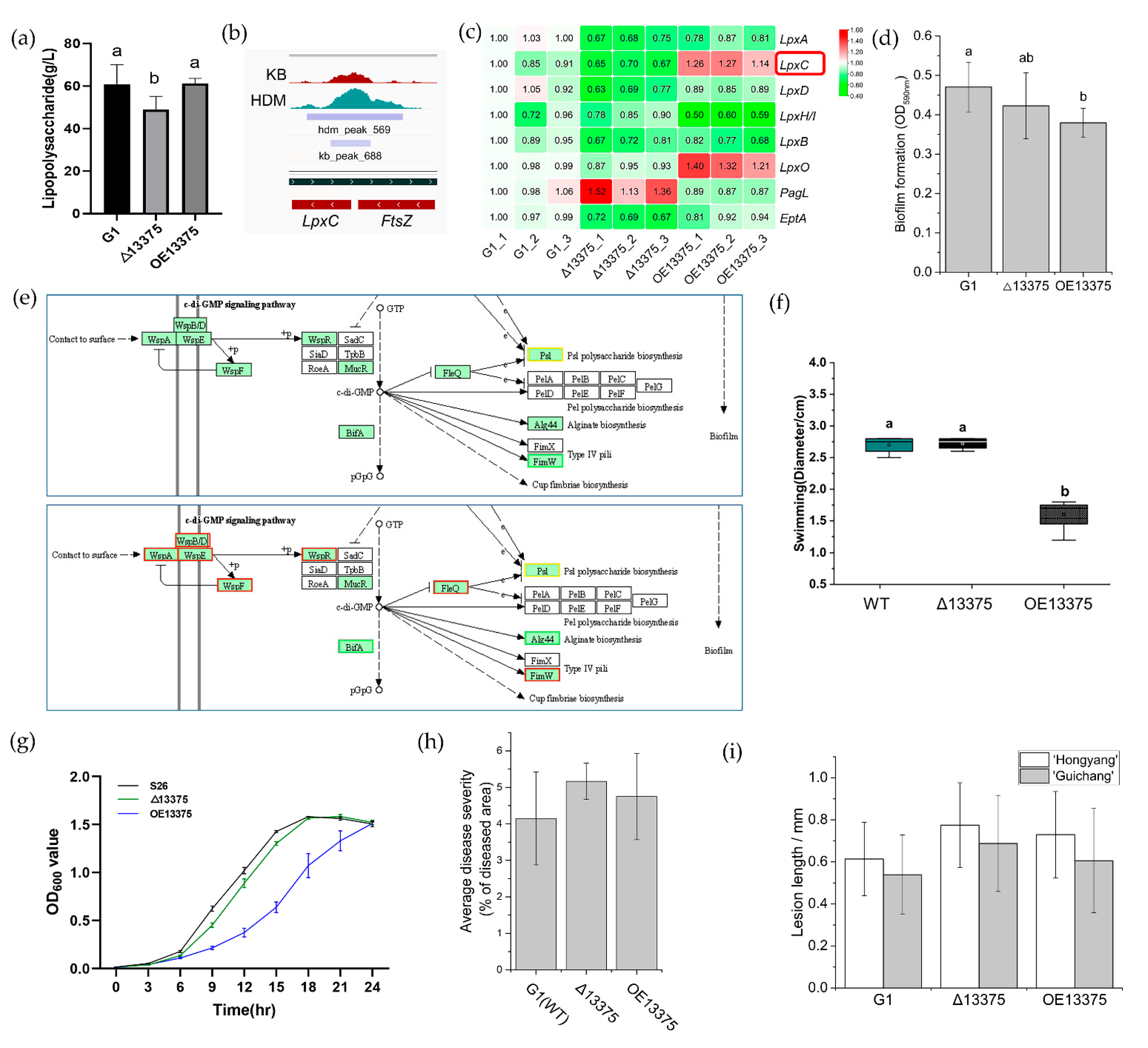 Ijms 23 12306 g004 Ijms 23 12306 g004