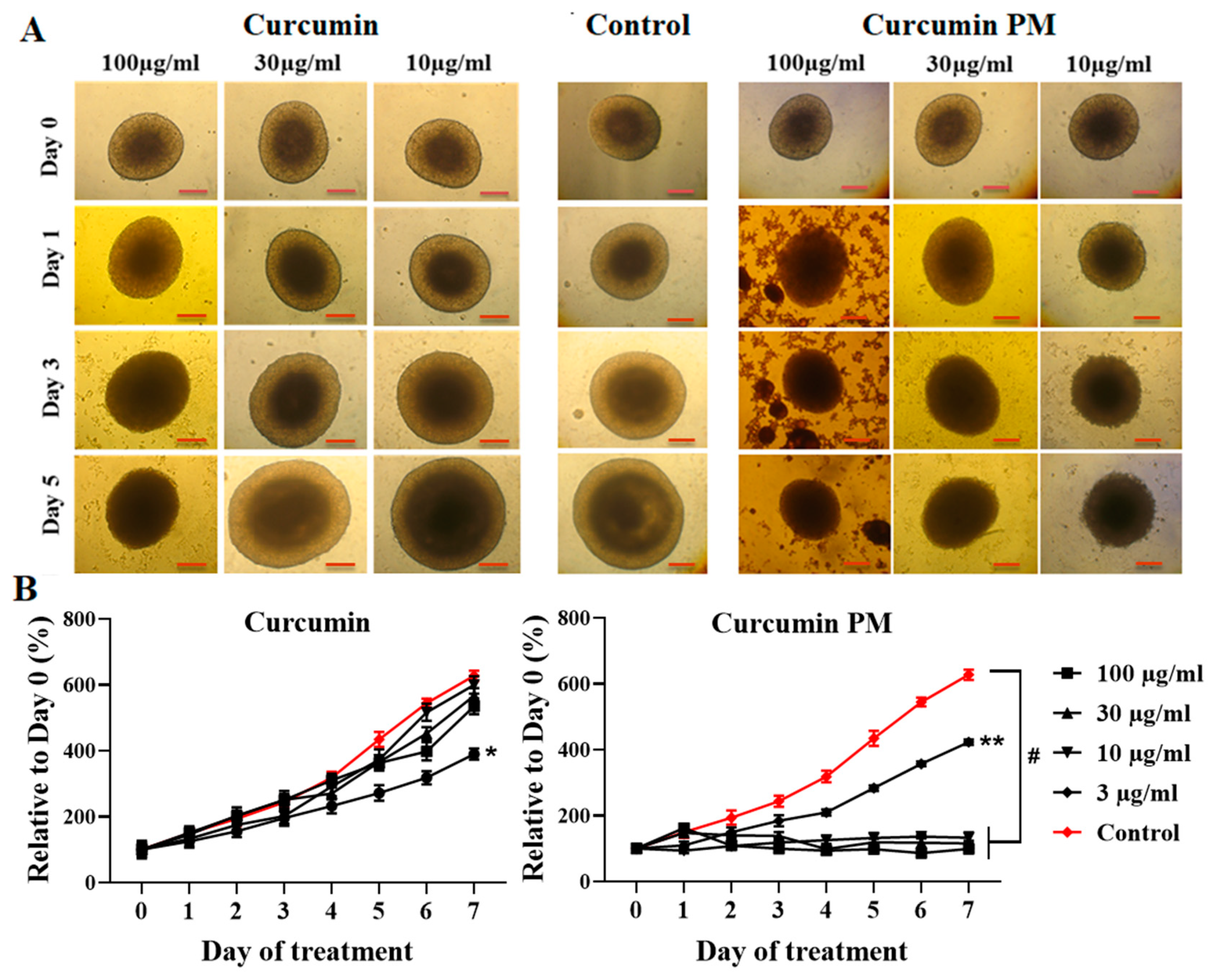 Ijms 23 12362 g003 Ijms 23 12362 g003
