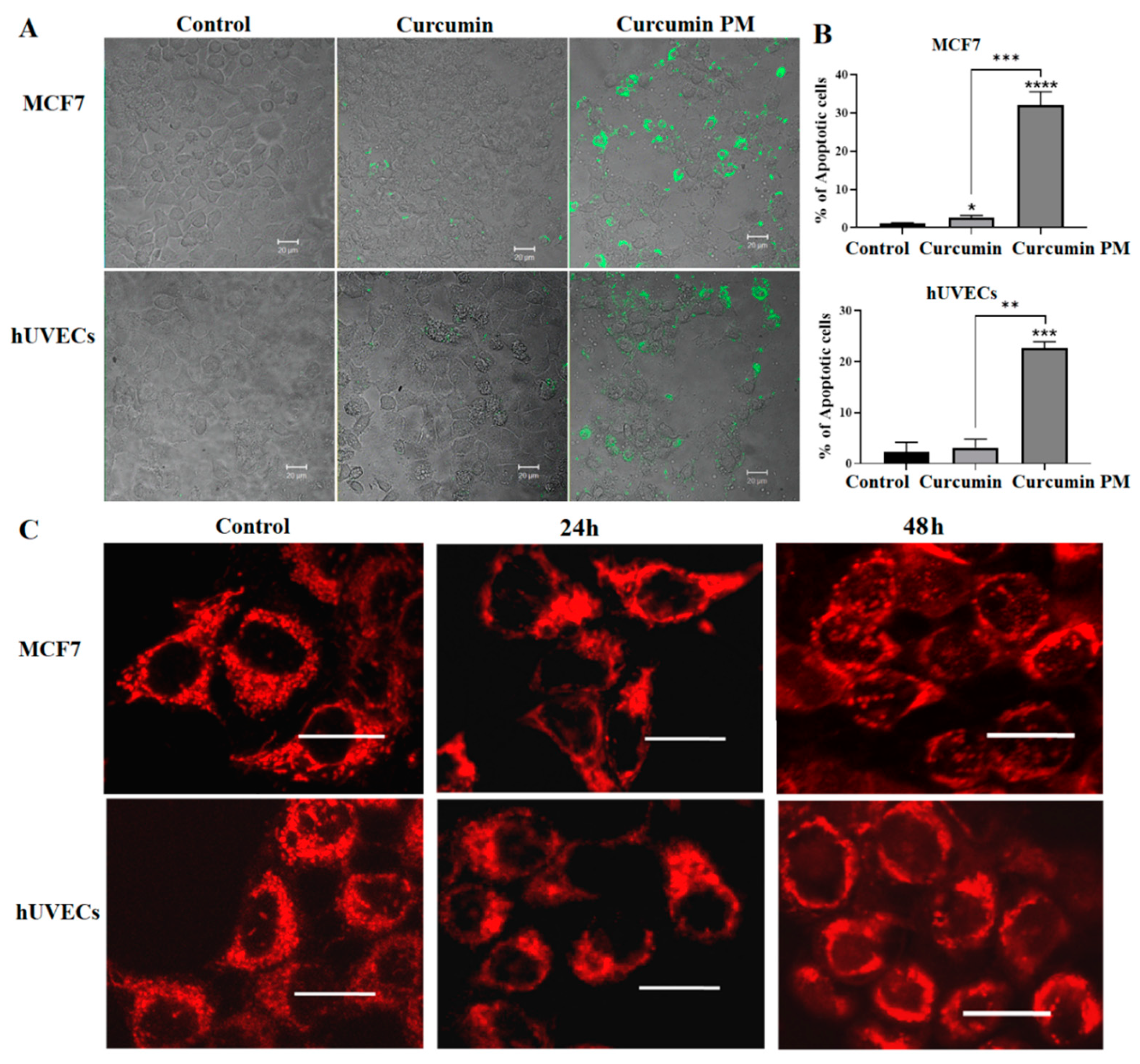 Ijms 23 12362 g004 Ijms 23 12362 g004