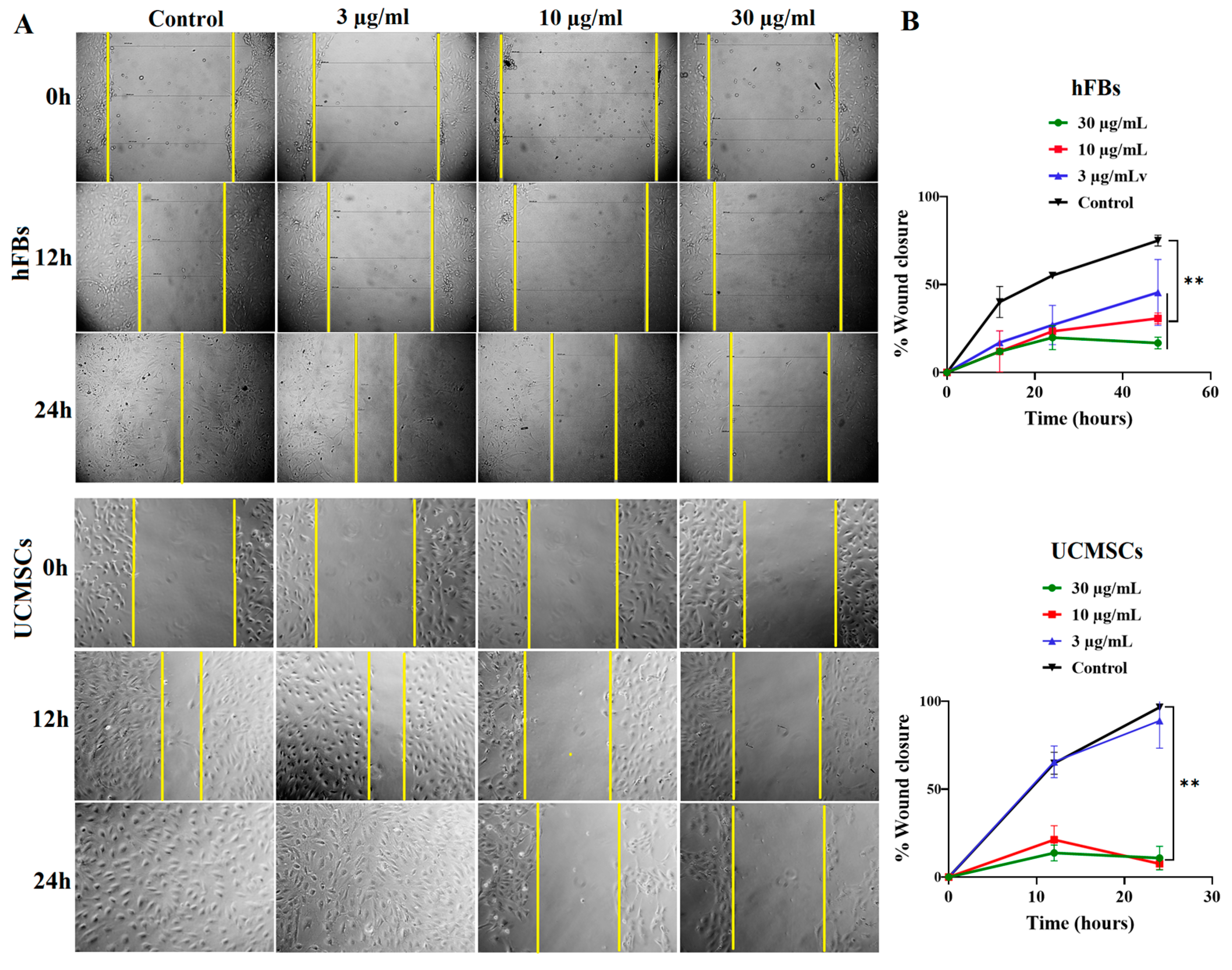 Ijms 23 12362 g006 Ijms 23 12362 g006
