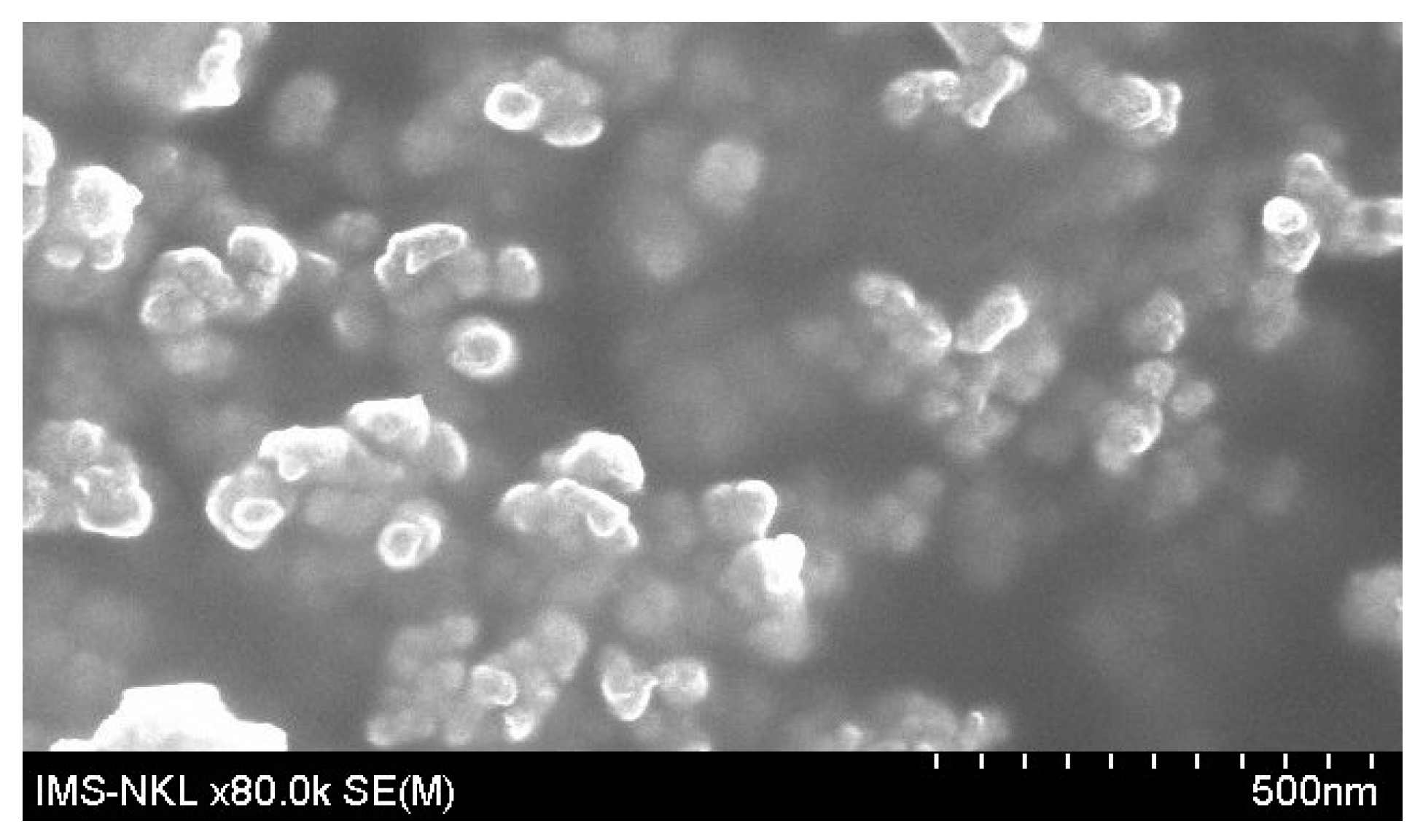 Ijms 23 12362 g008 Ijms 23 12362 g008