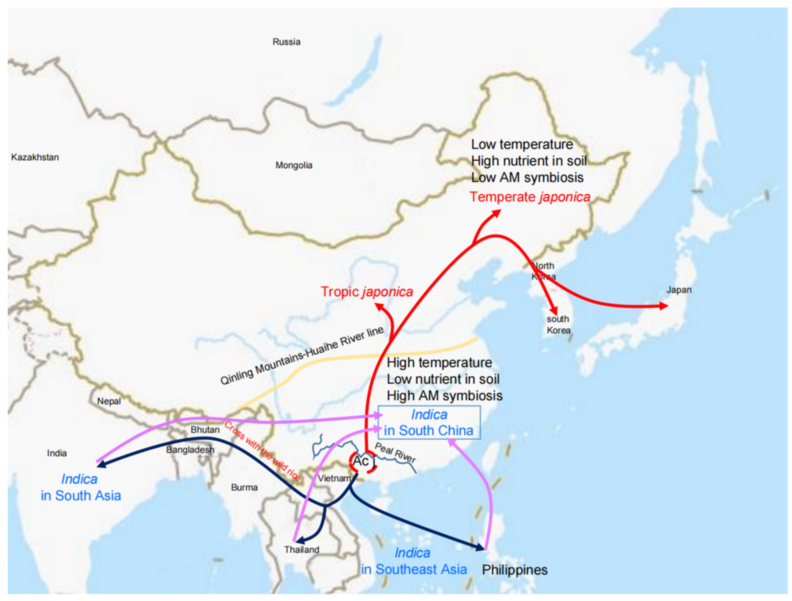 Ijms 23 12383 g001 Ijms 23 12383 g001