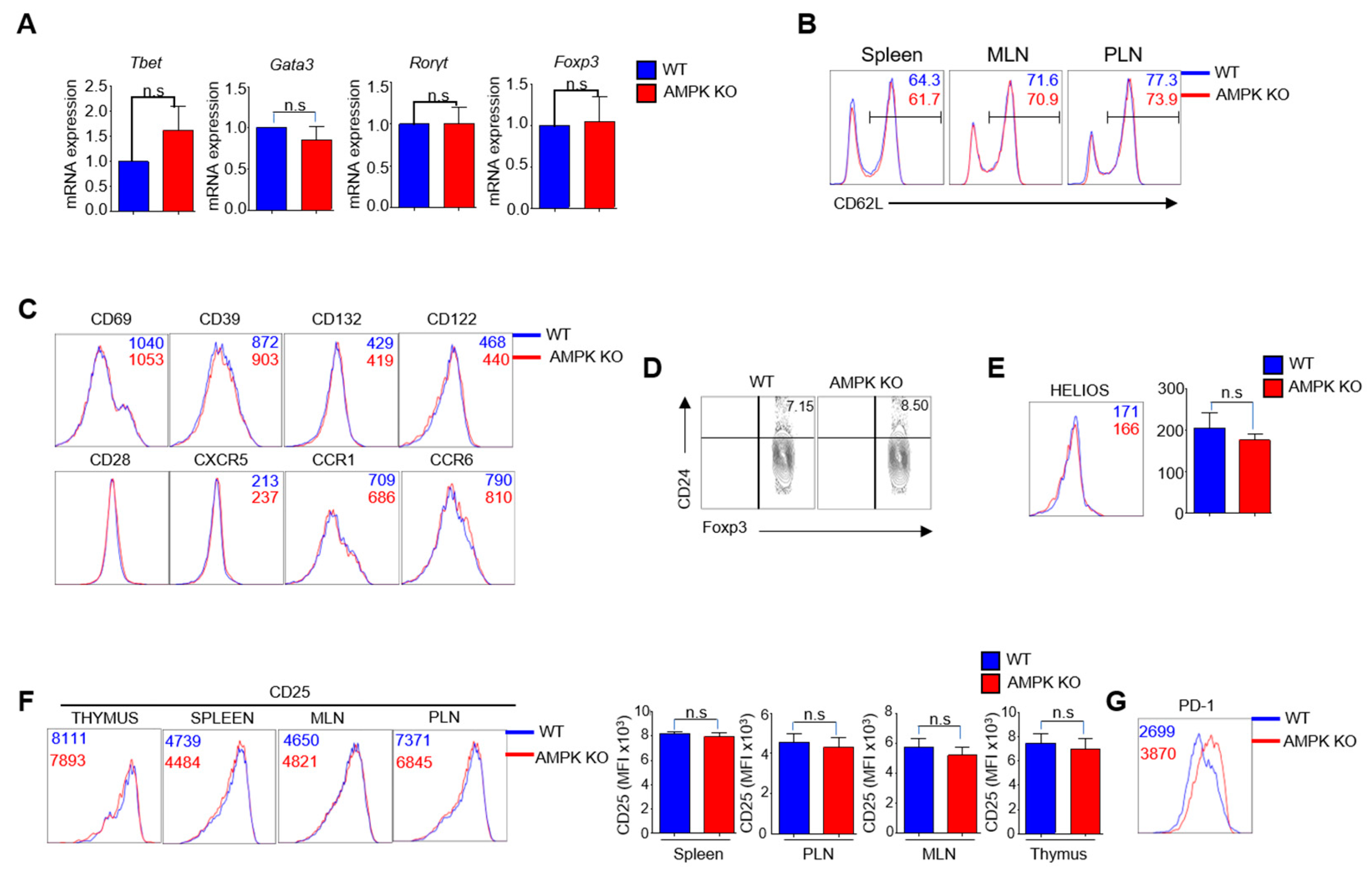 Ijms 23 12384 g001 Ijms 23 12384 g001