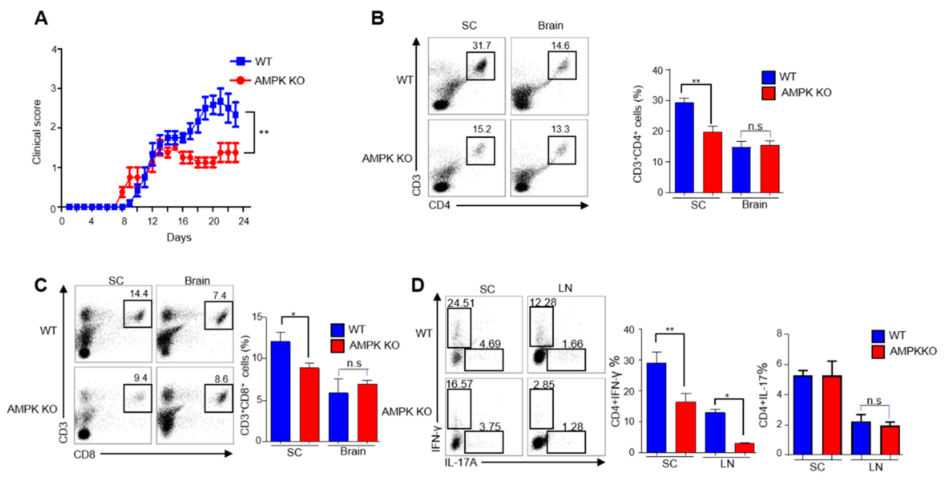 Ijms 23 12384 g002 Ijms 23 12384 g002