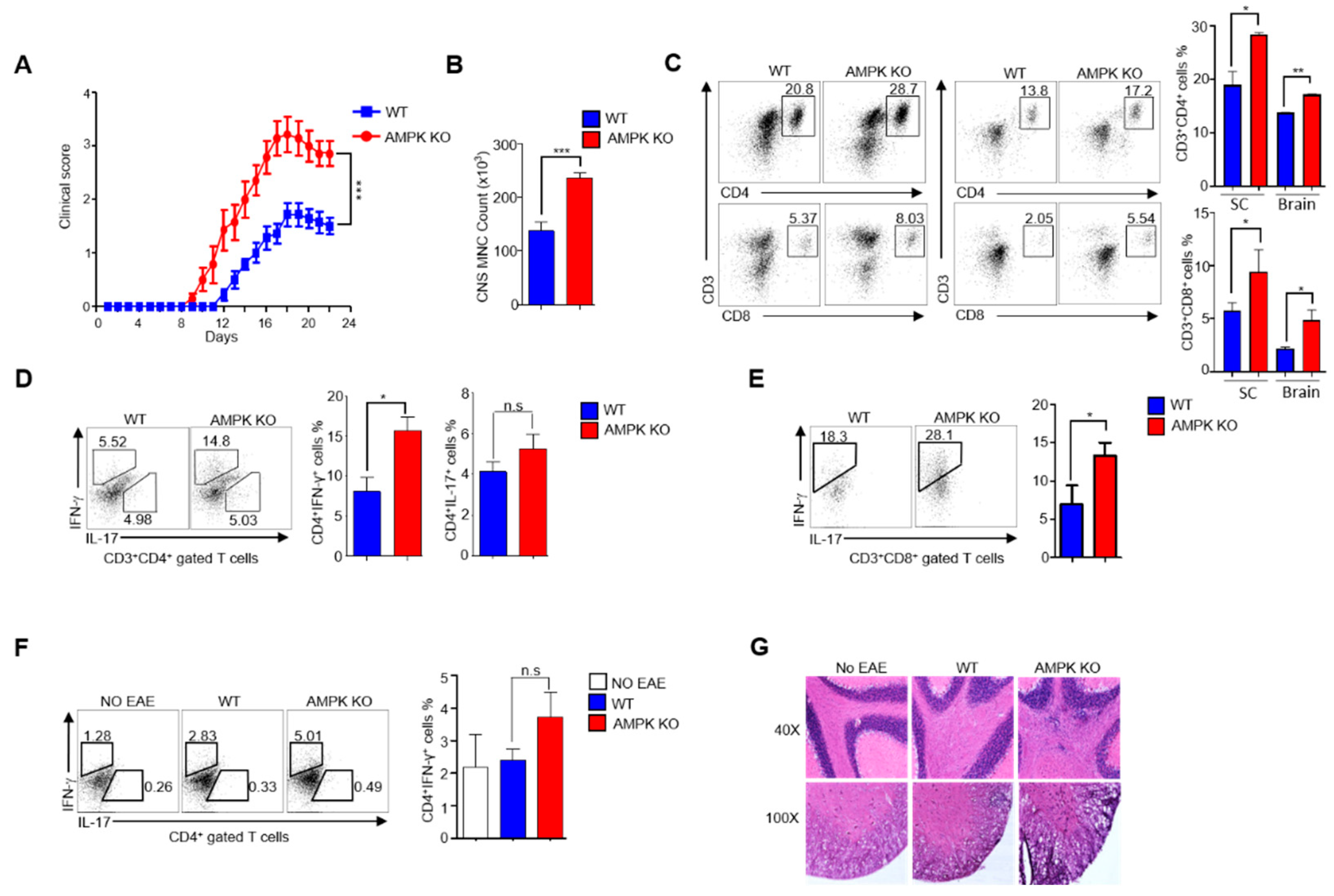 Ijms 23 12384 g003 Ijms 23 12384 g003