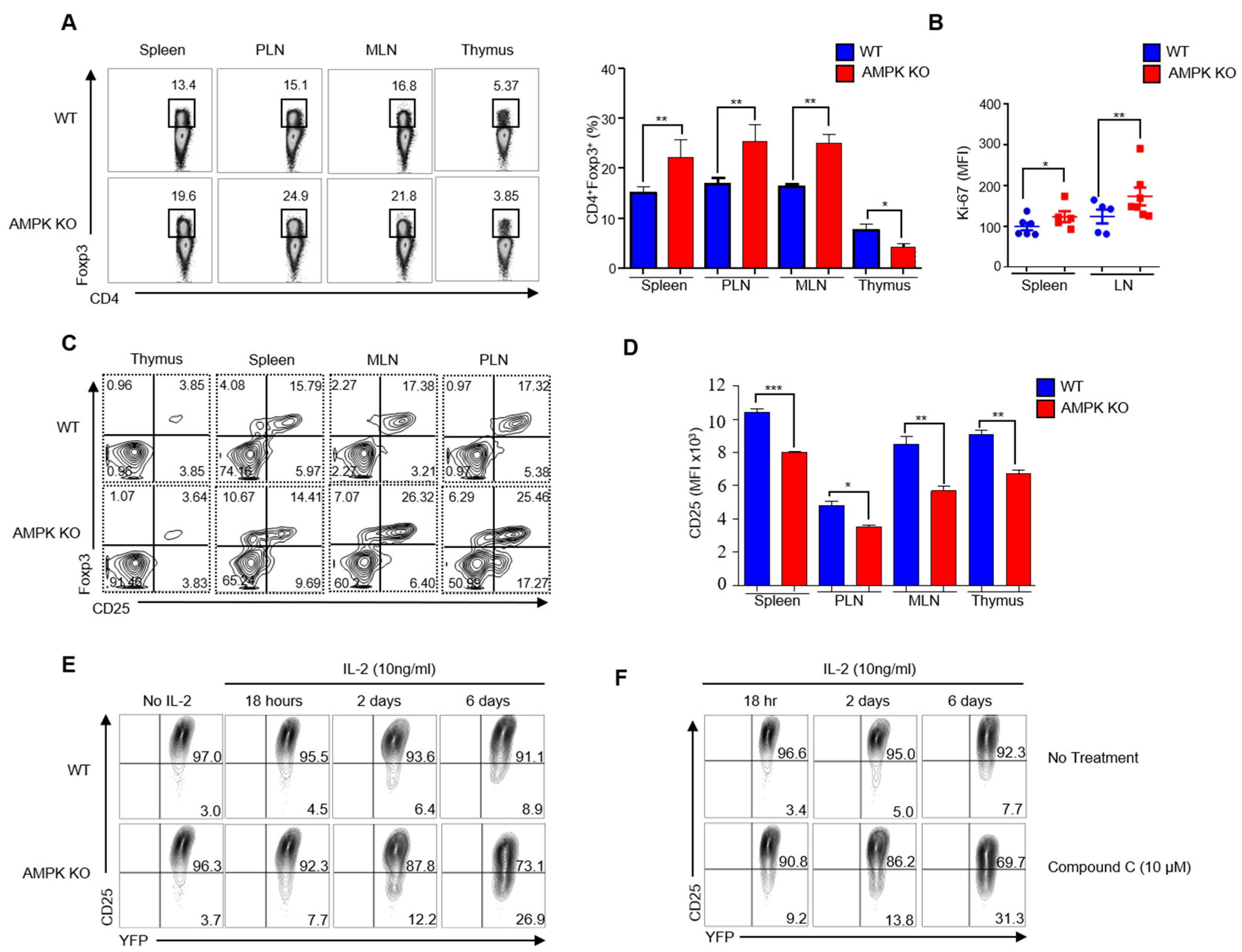 Ijms 23 12384 g005 Ijms 23 12384 g005