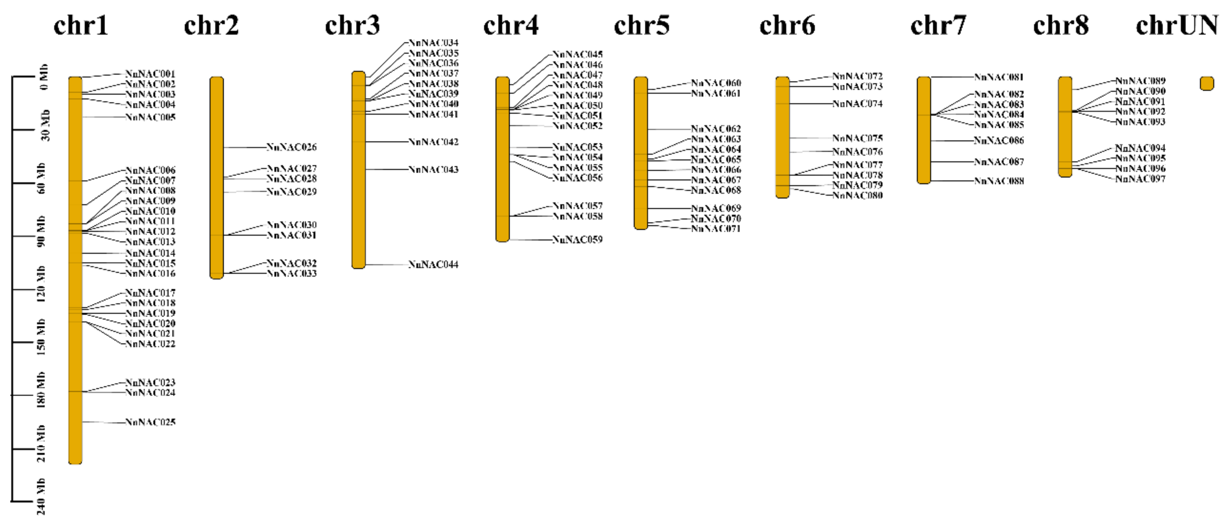 Ijms 23 12394 g001 Ijms 23 12394 g001