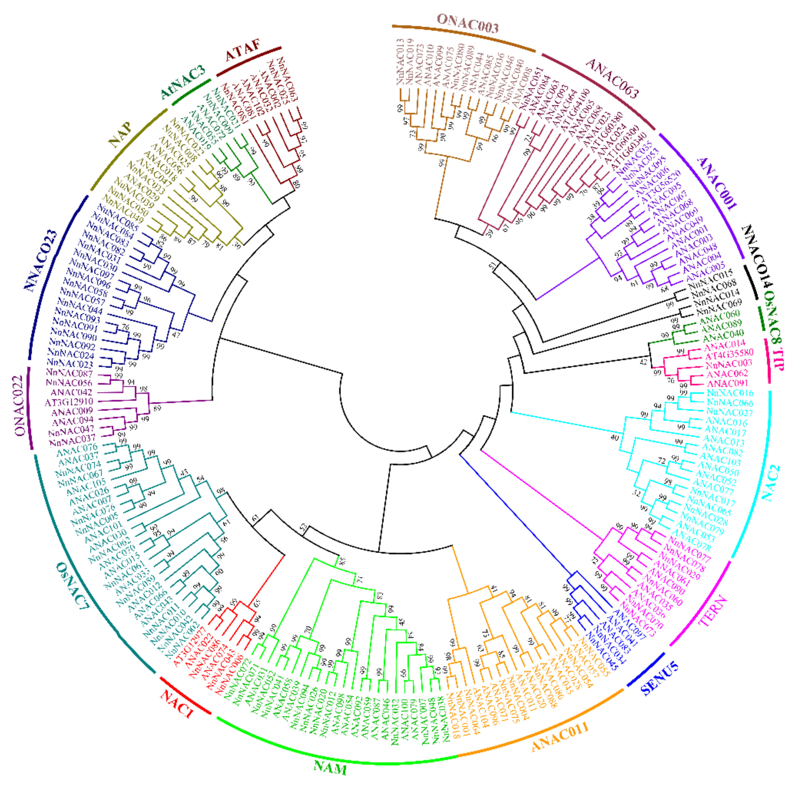 Ijms 23 12394 g002 Ijms 23 12394 g002