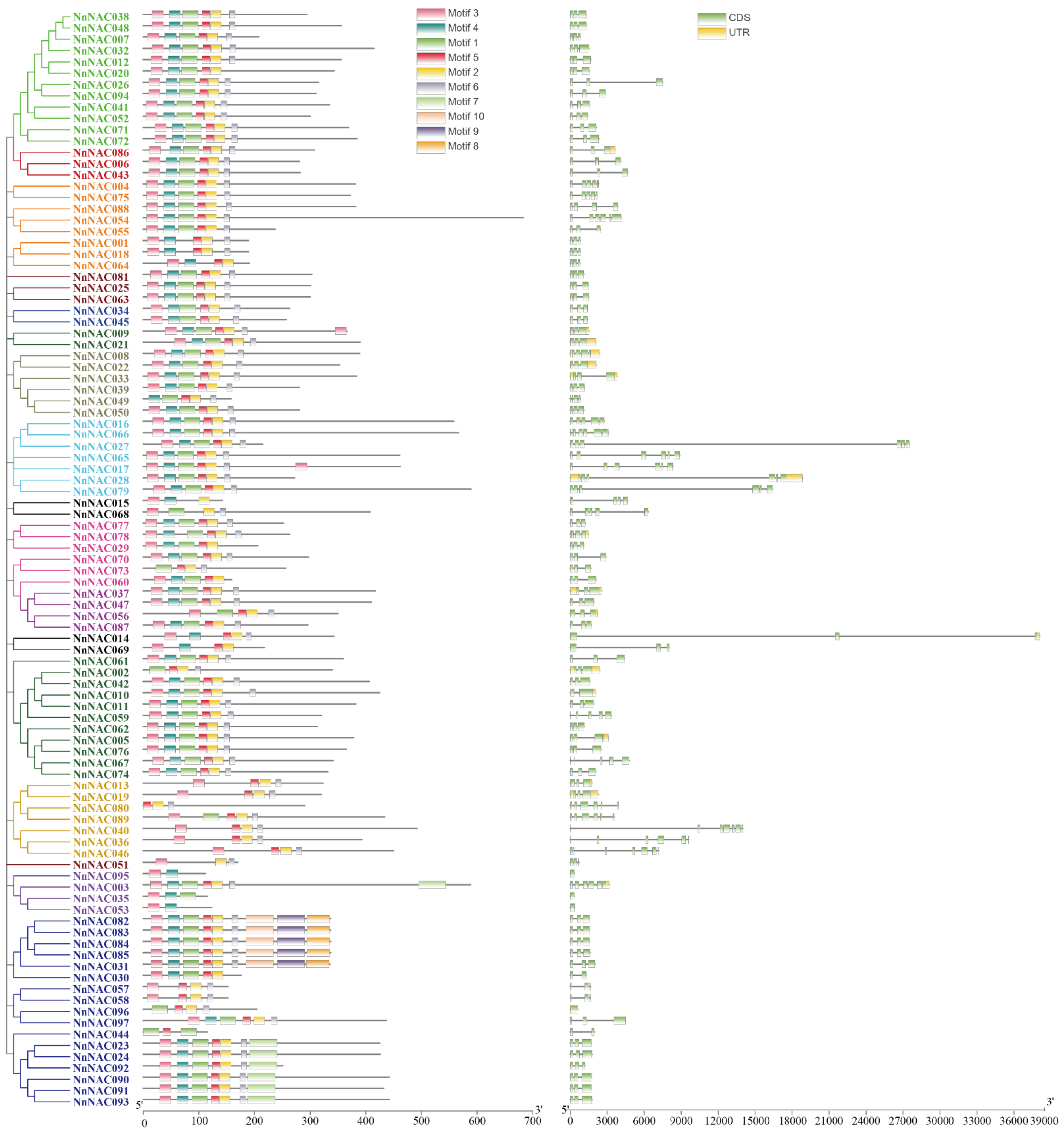 Ijms 23 12394 g003 Ijms 23 12394 g003