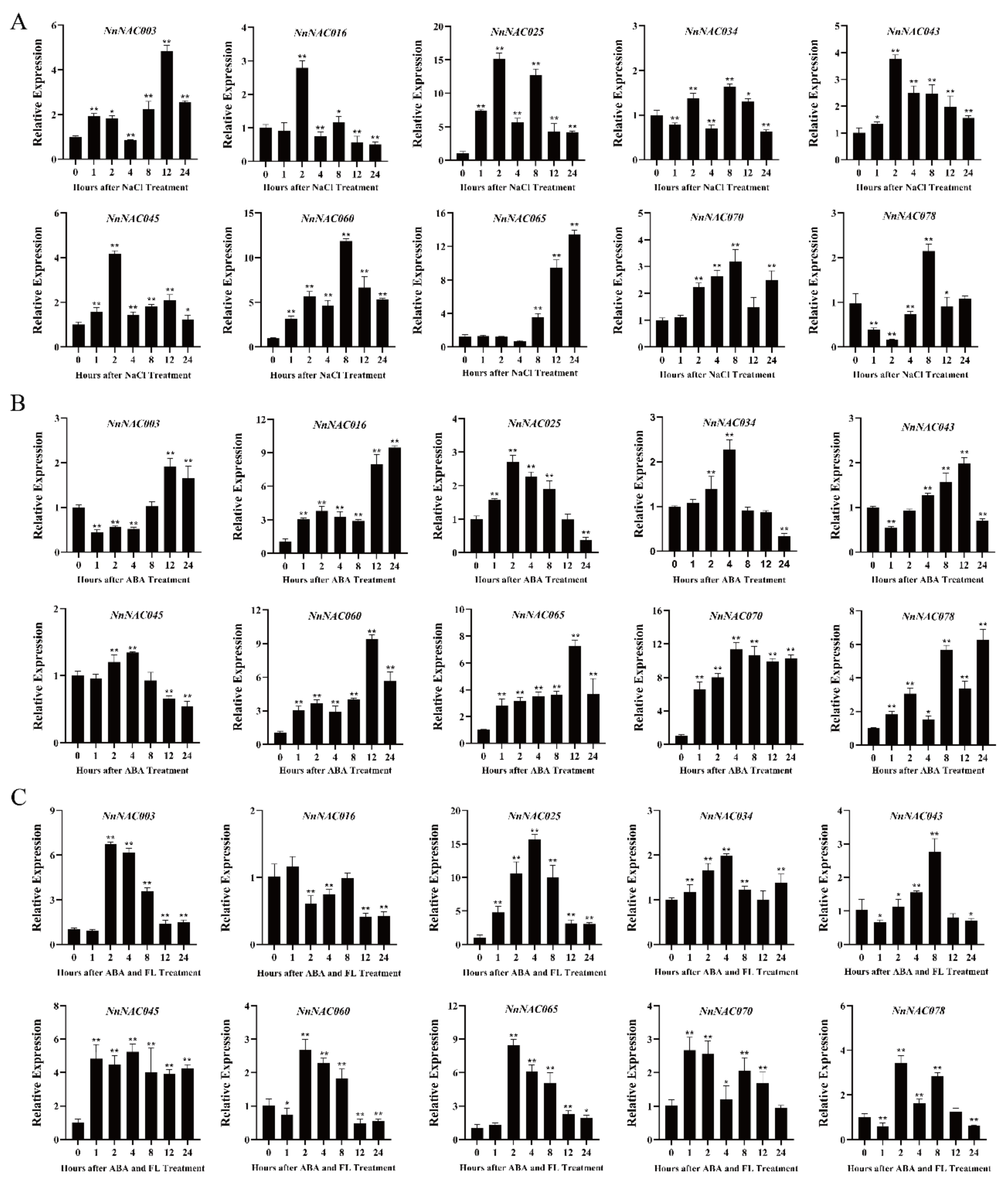 Ijms 23 12394 g005 Ijms 23 12394 g005