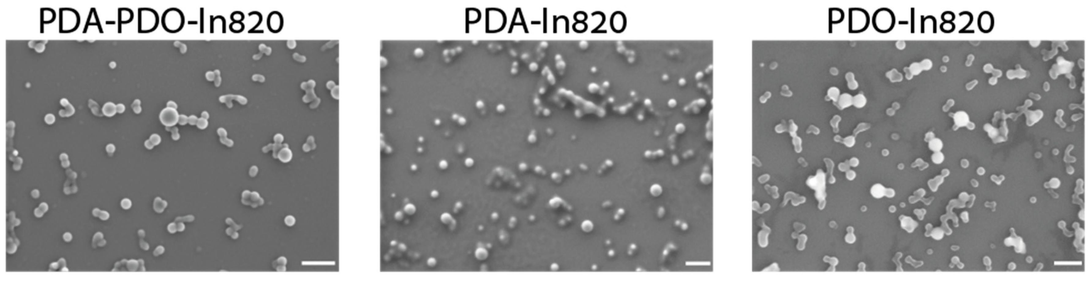 Ijms 23 12420 g004